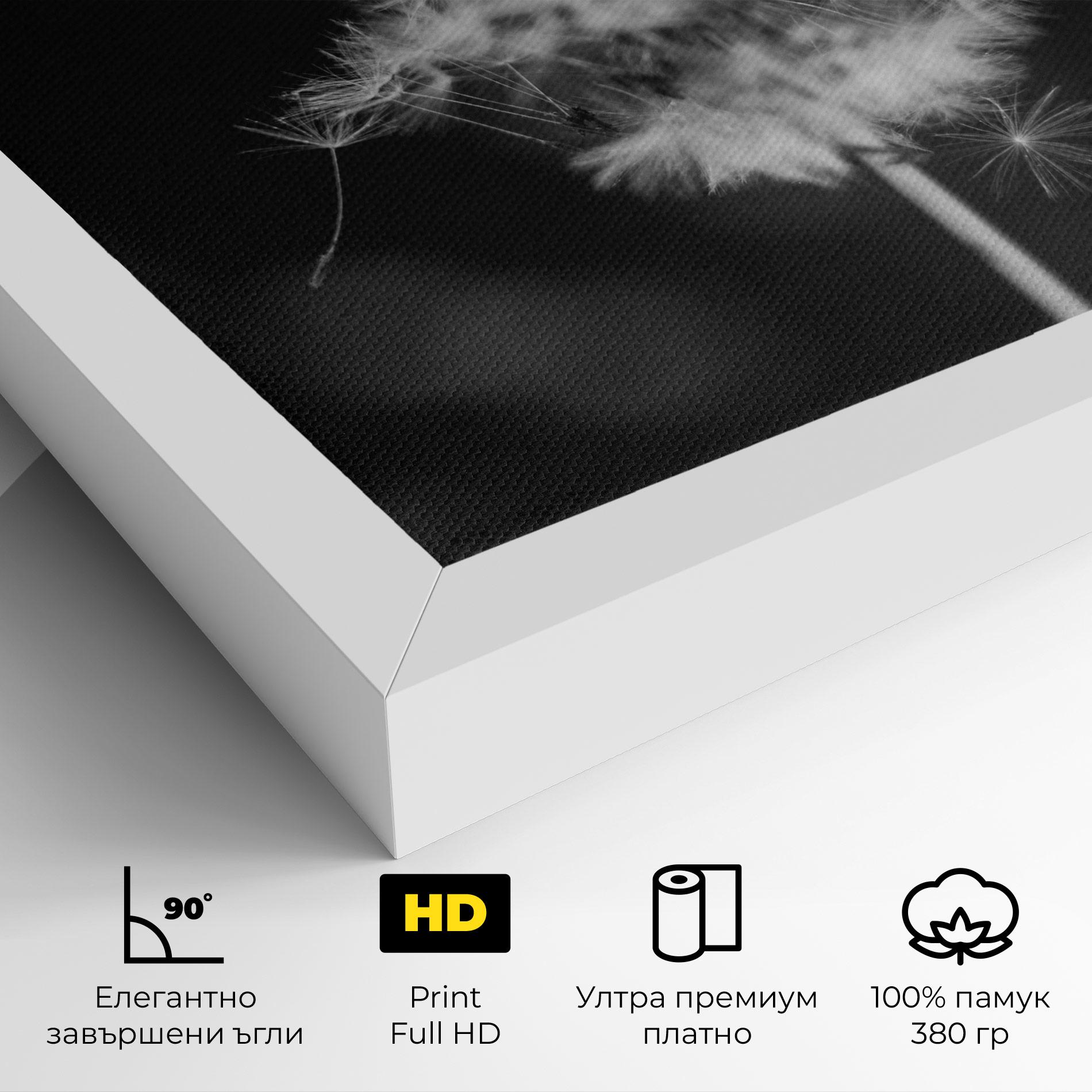 Картина на платно Grey Dandelion mockup 4