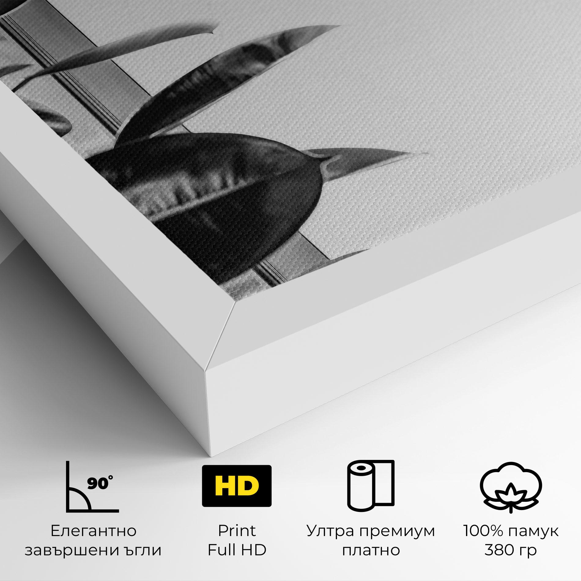 Картина на платно Grey Plant mockup 4