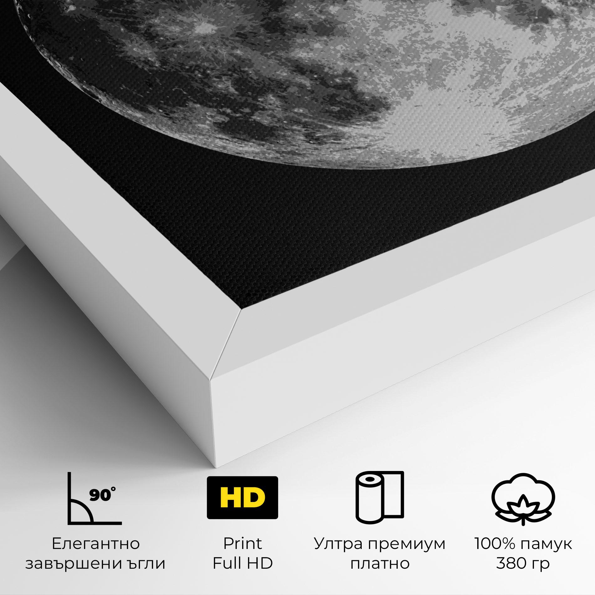 Картина на платно Grey Shiny Moon mockup 4