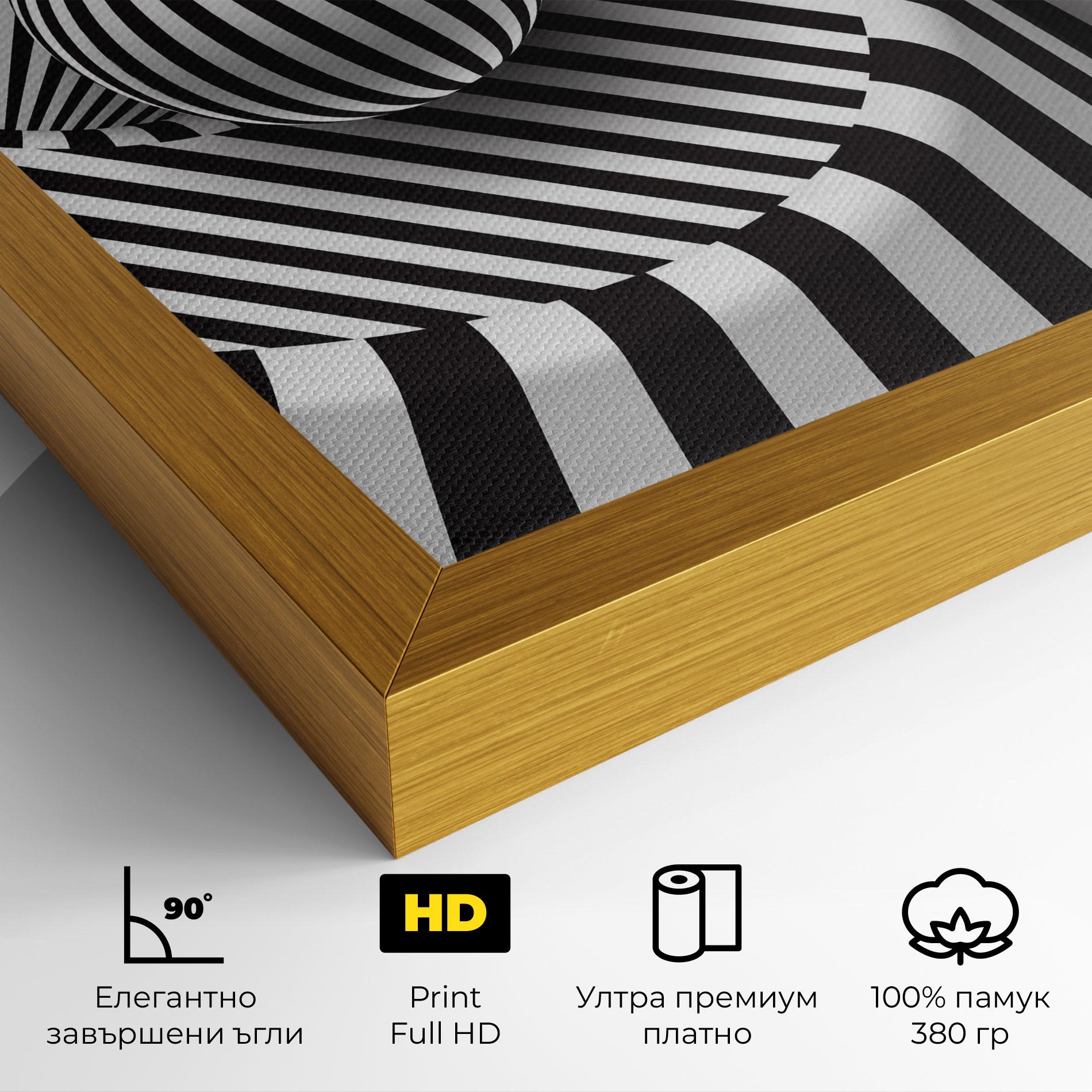 Картина на платно 3d Ball Zebra mockup 4