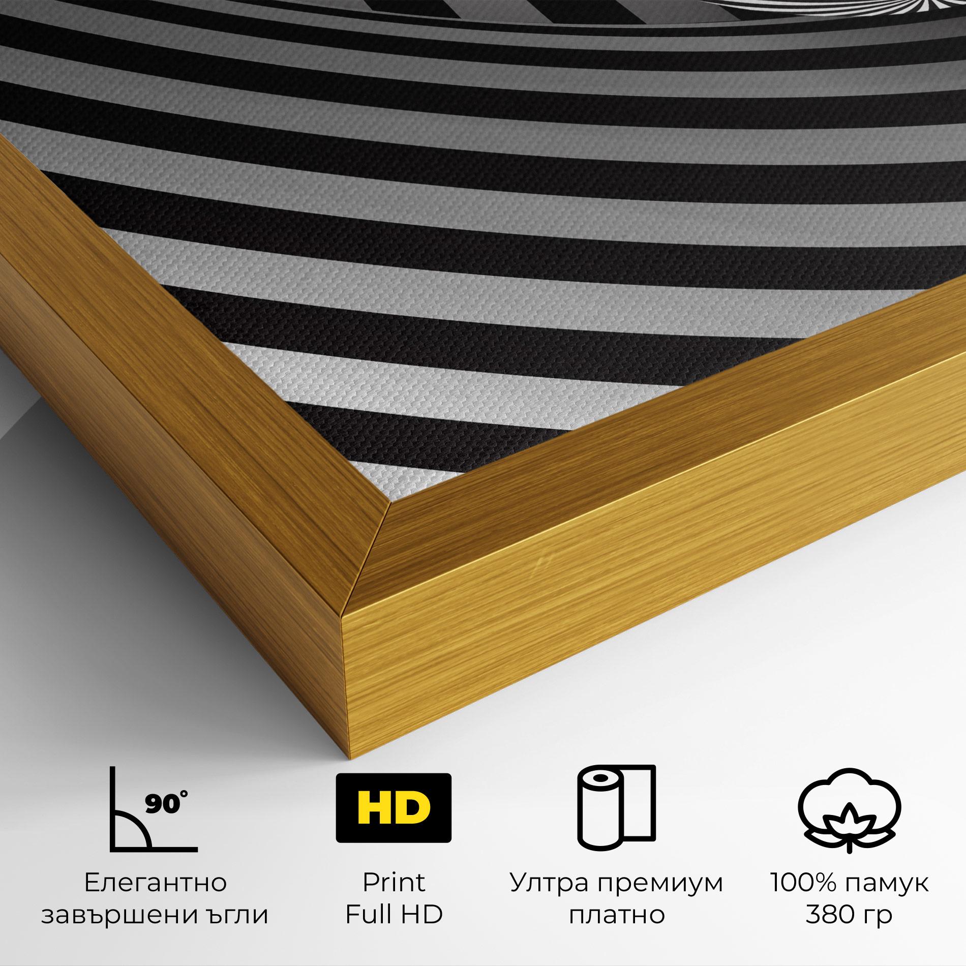 Картина на платно 3d Zebra Ball mockup 4