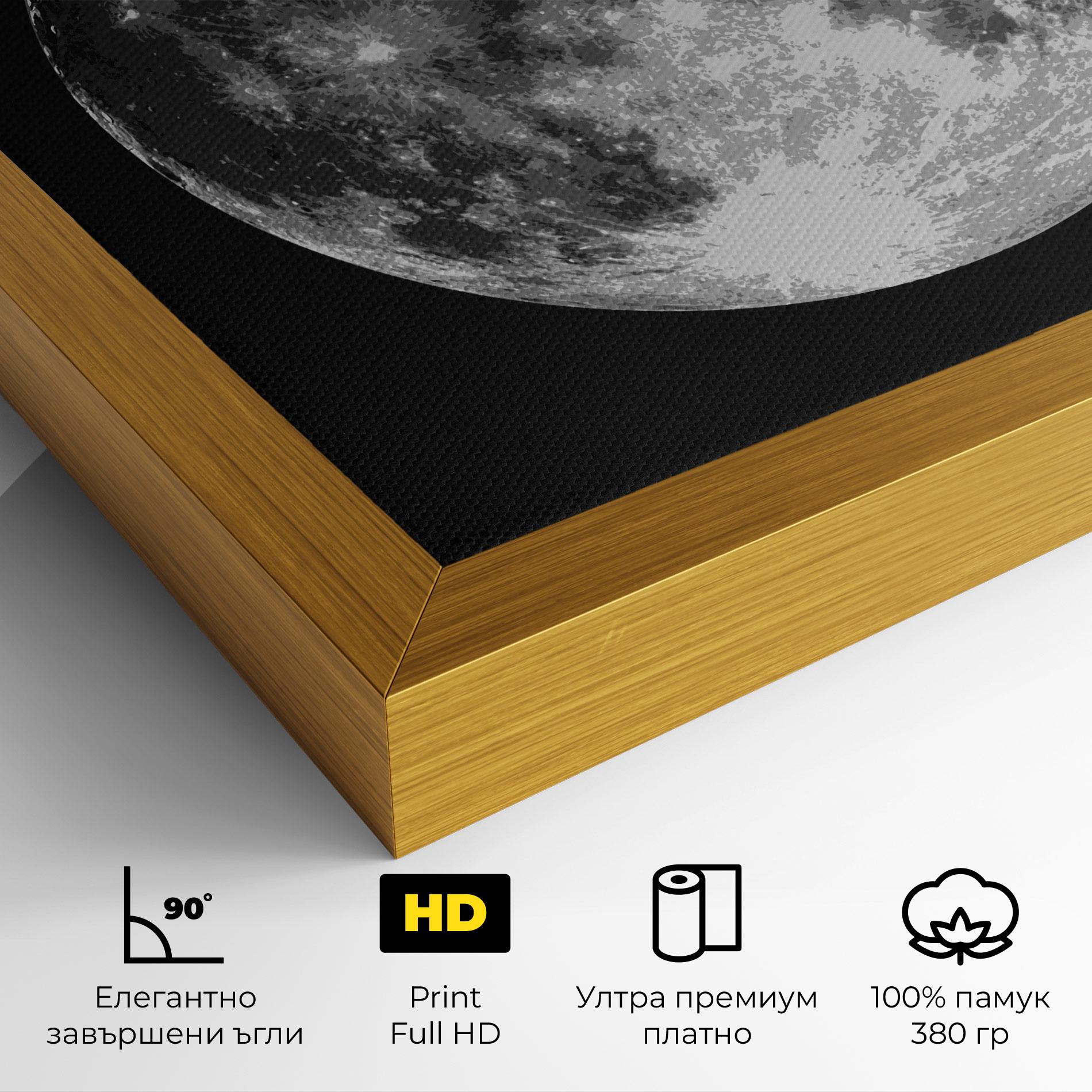 Картина на платно Grey Shiny Moon mockup 4