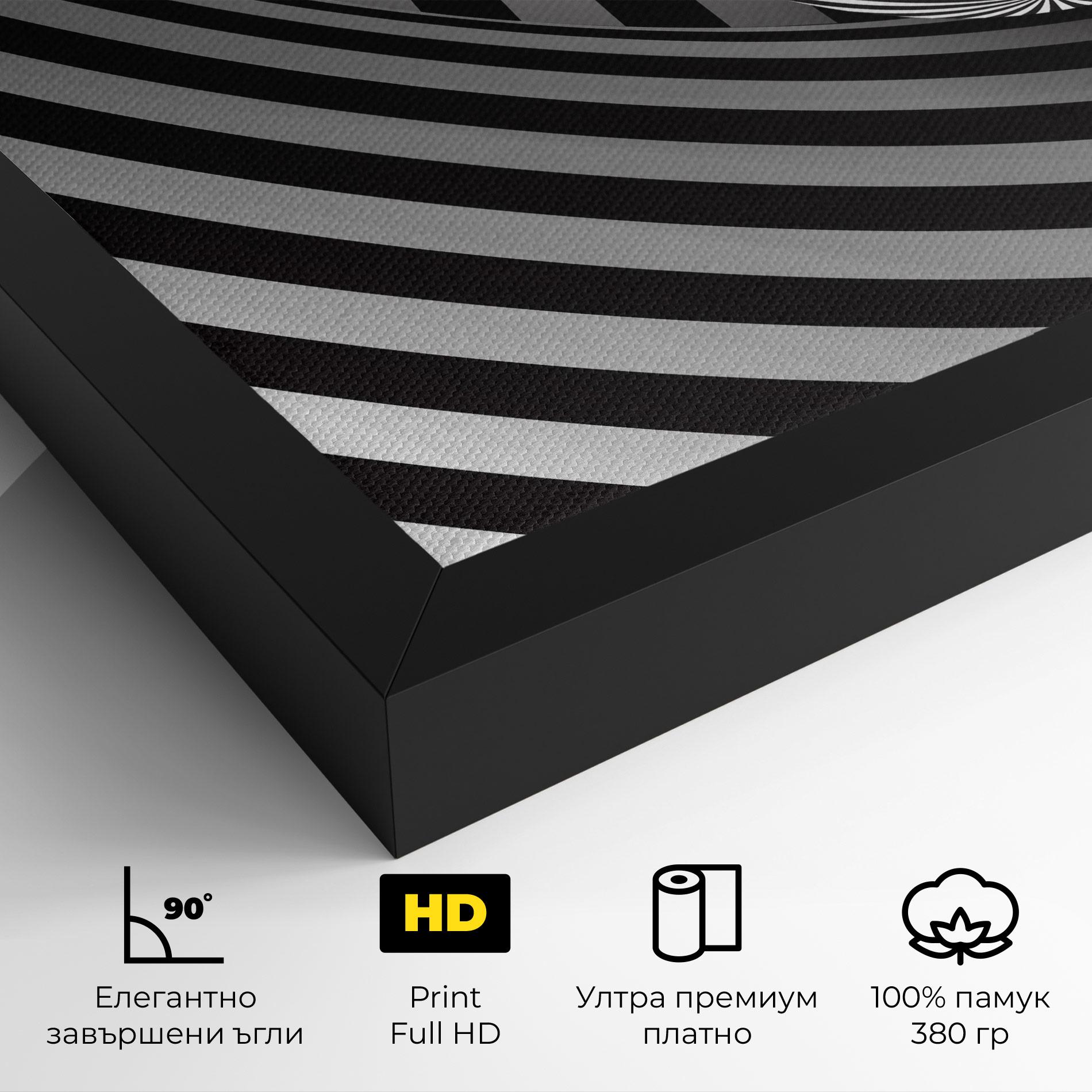 Картина на платно 3d Zebra Ball mockup 4