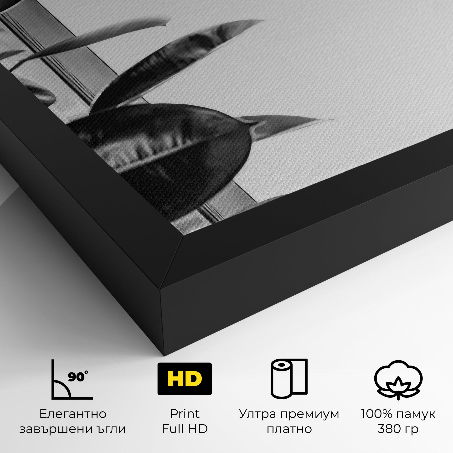 Картина на платно Grey Plant mockup 4