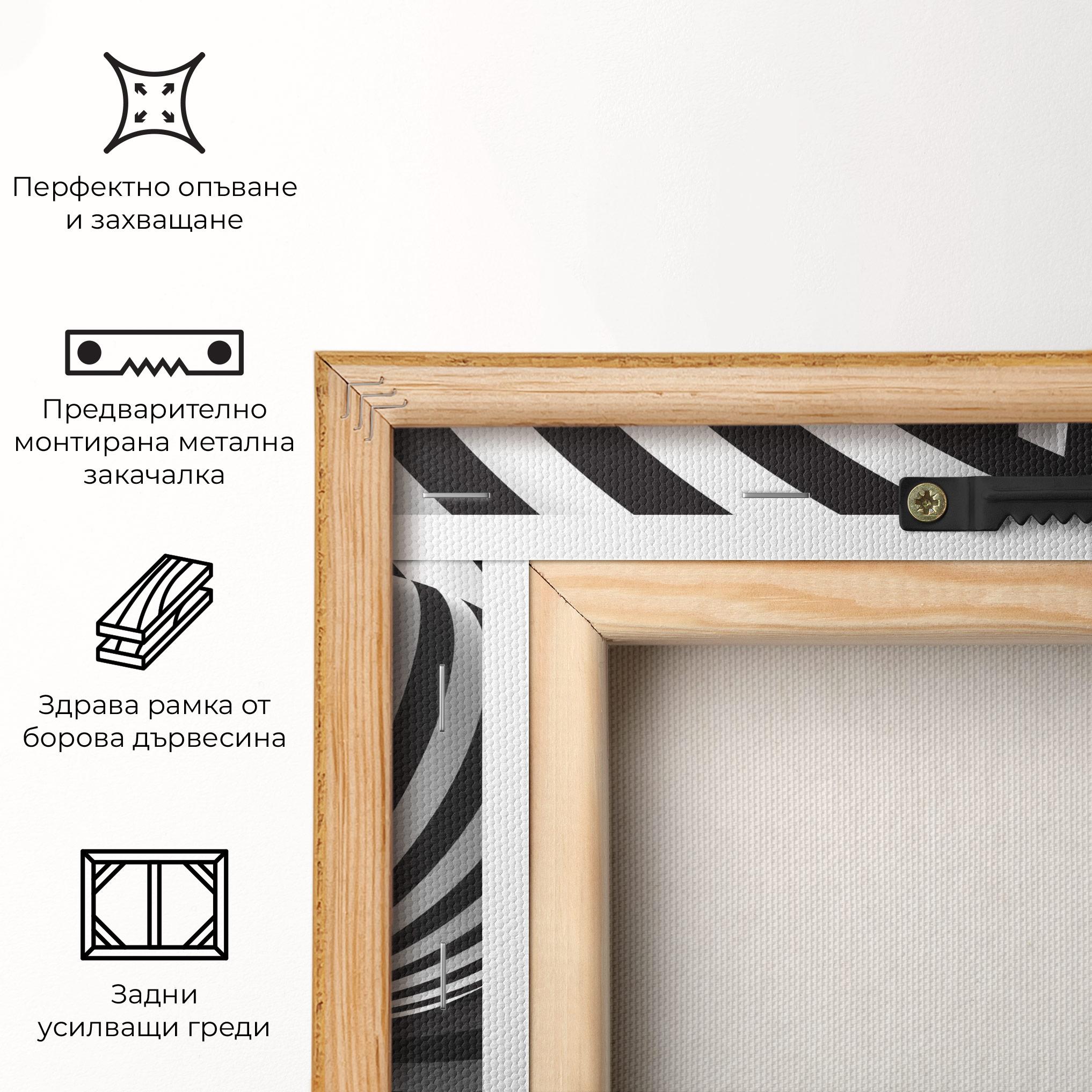 Картина на платно 3d Zebra Ball mockup 5