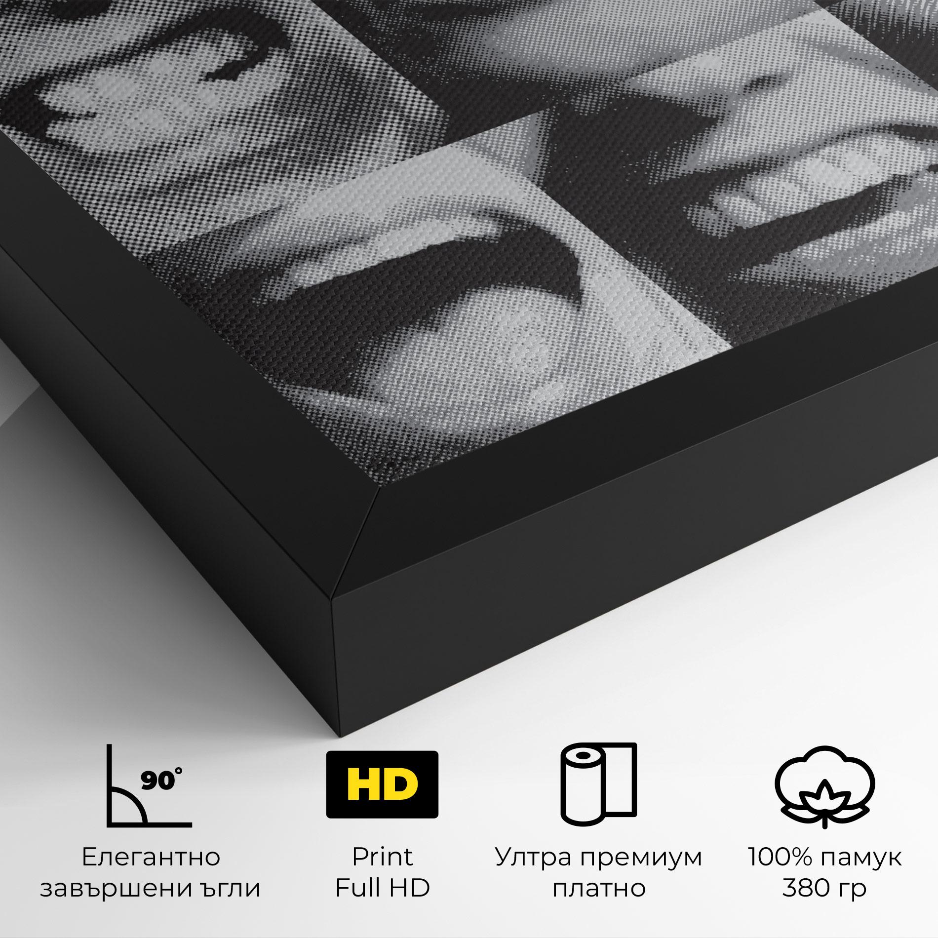 Картина на платно Grey Mouth Collage mockup 4