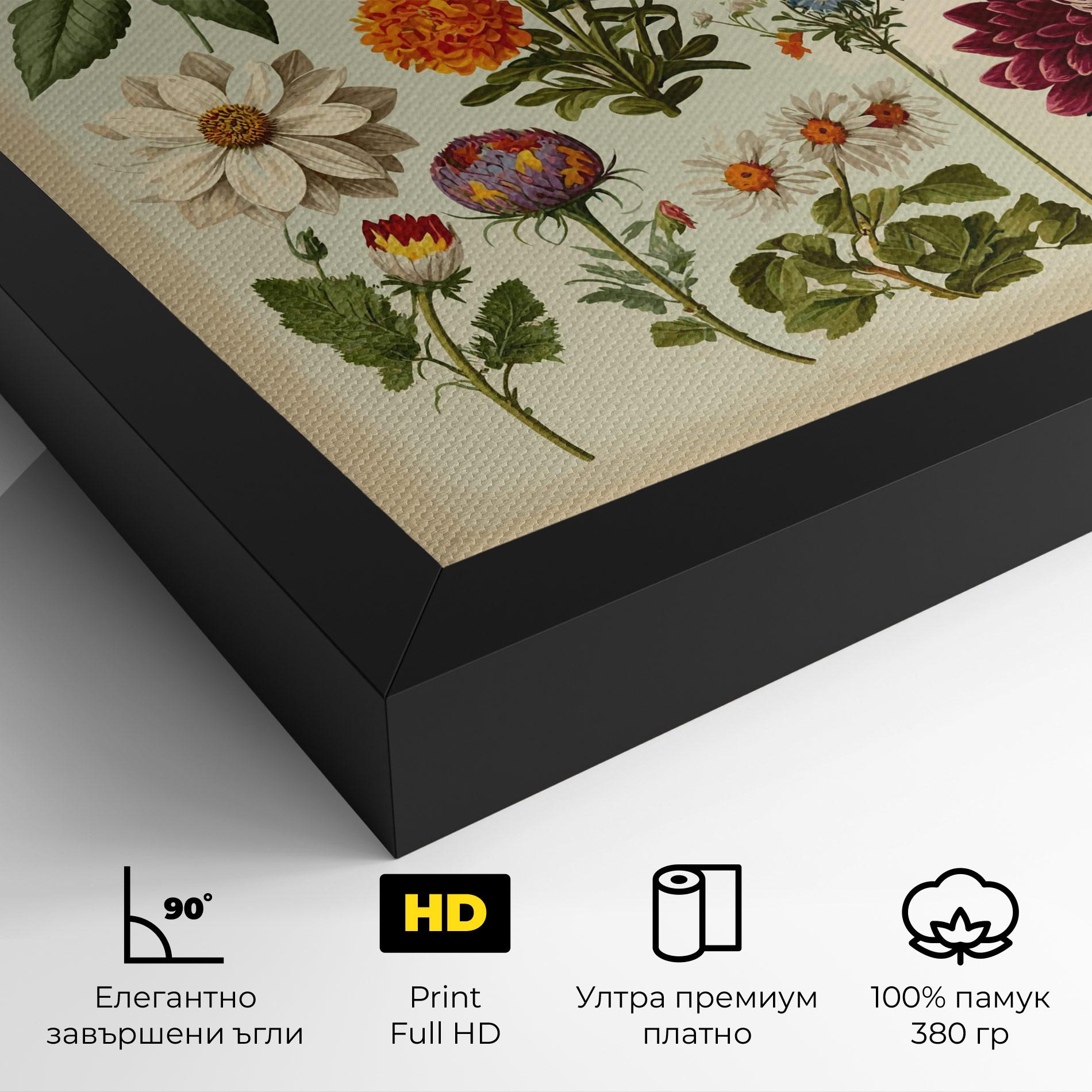 Картина на платно Vintage Botanical mockup 4