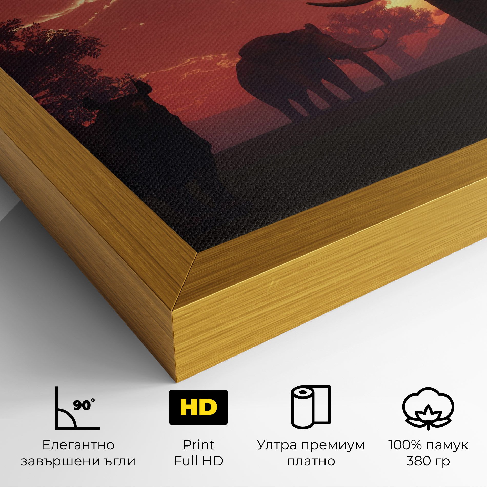 African Elephant View mockup 4