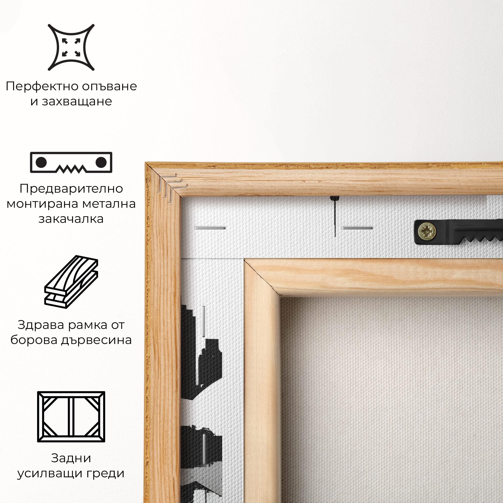 Картина на платно Opera House Art mockup 5