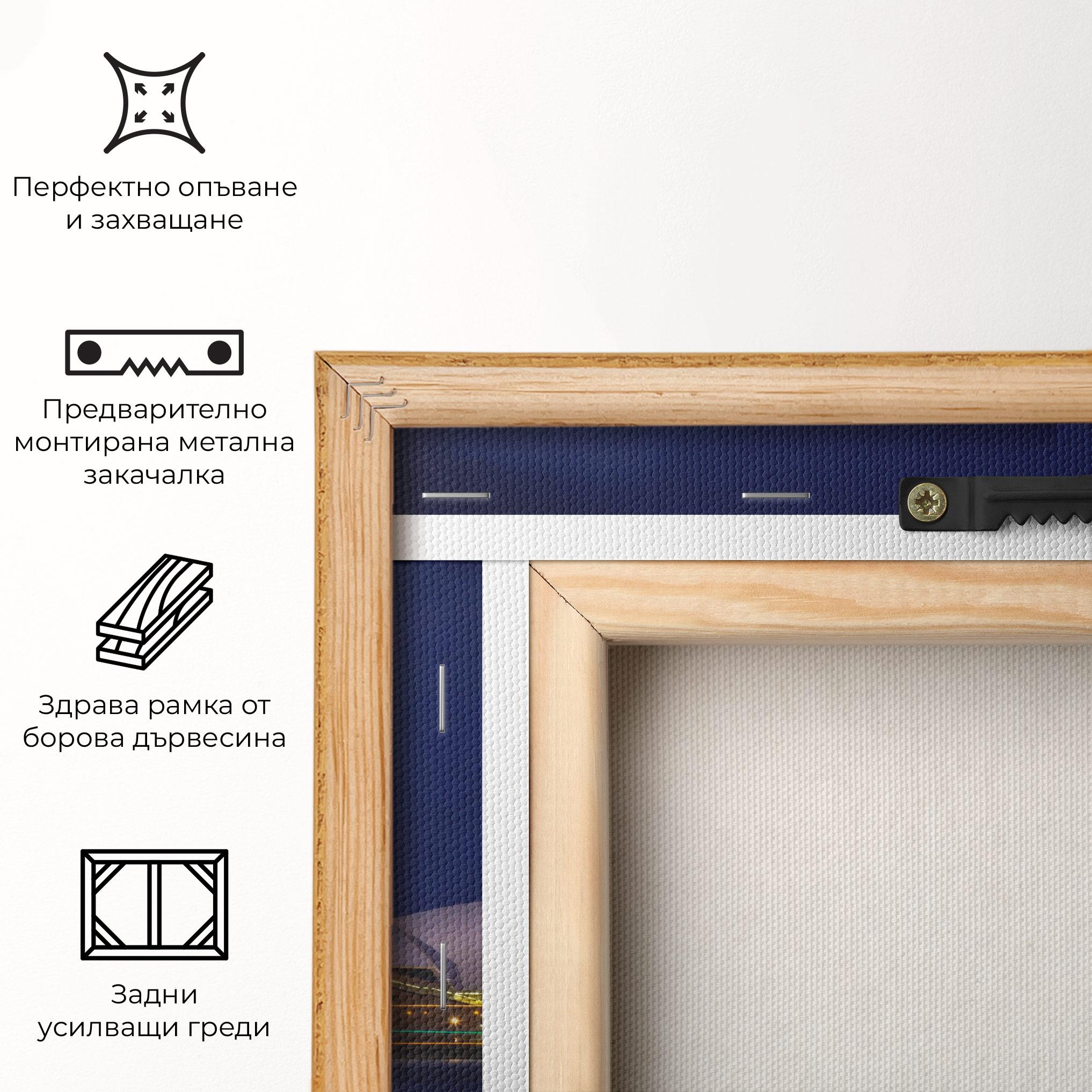 Картина на платно Opera House View mockup 5