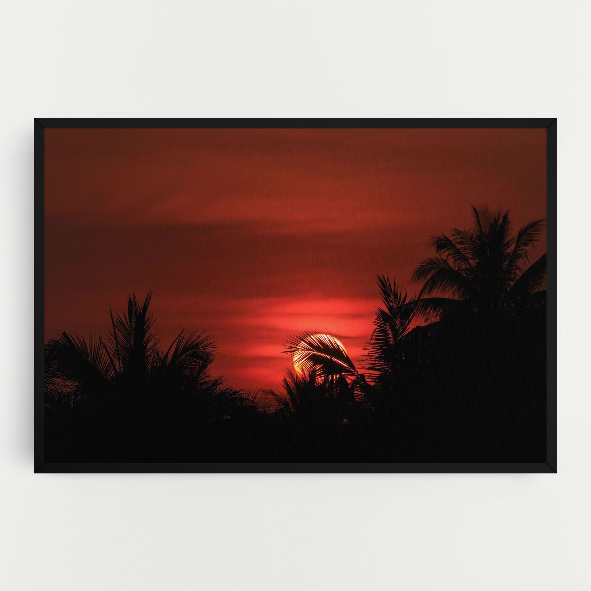 Coconuts Tree Sunset mockup 0