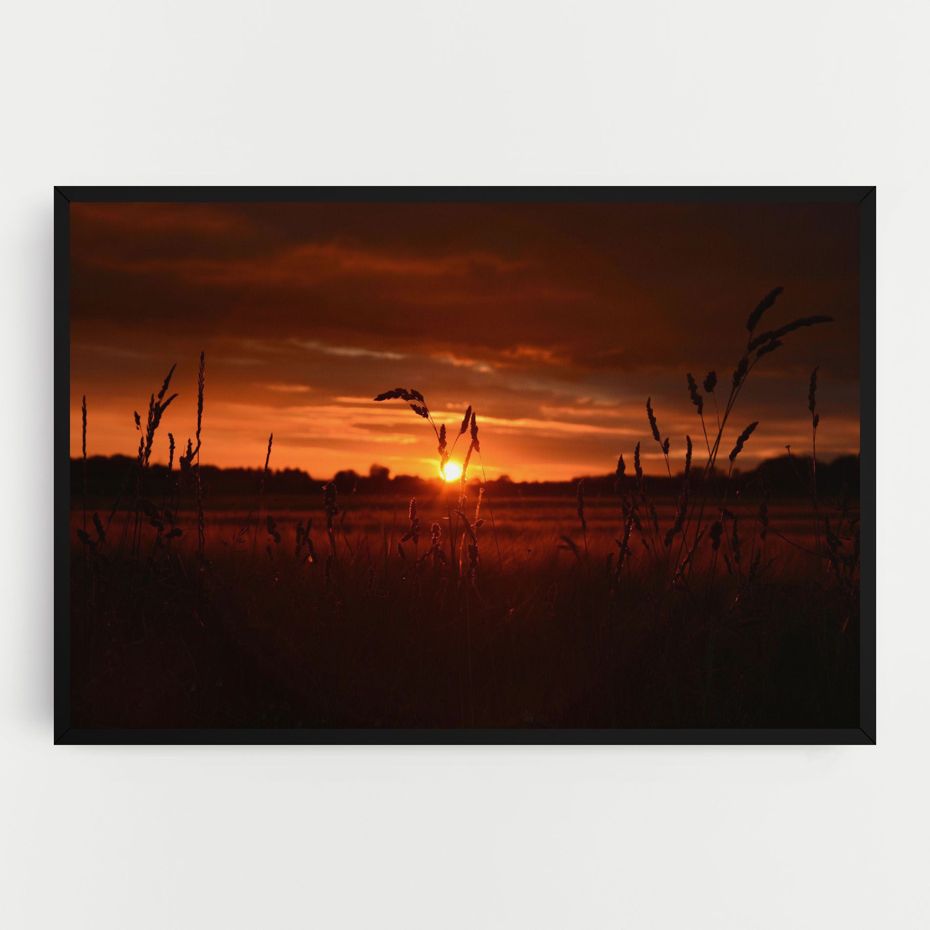 Field Shilouette mockup 0