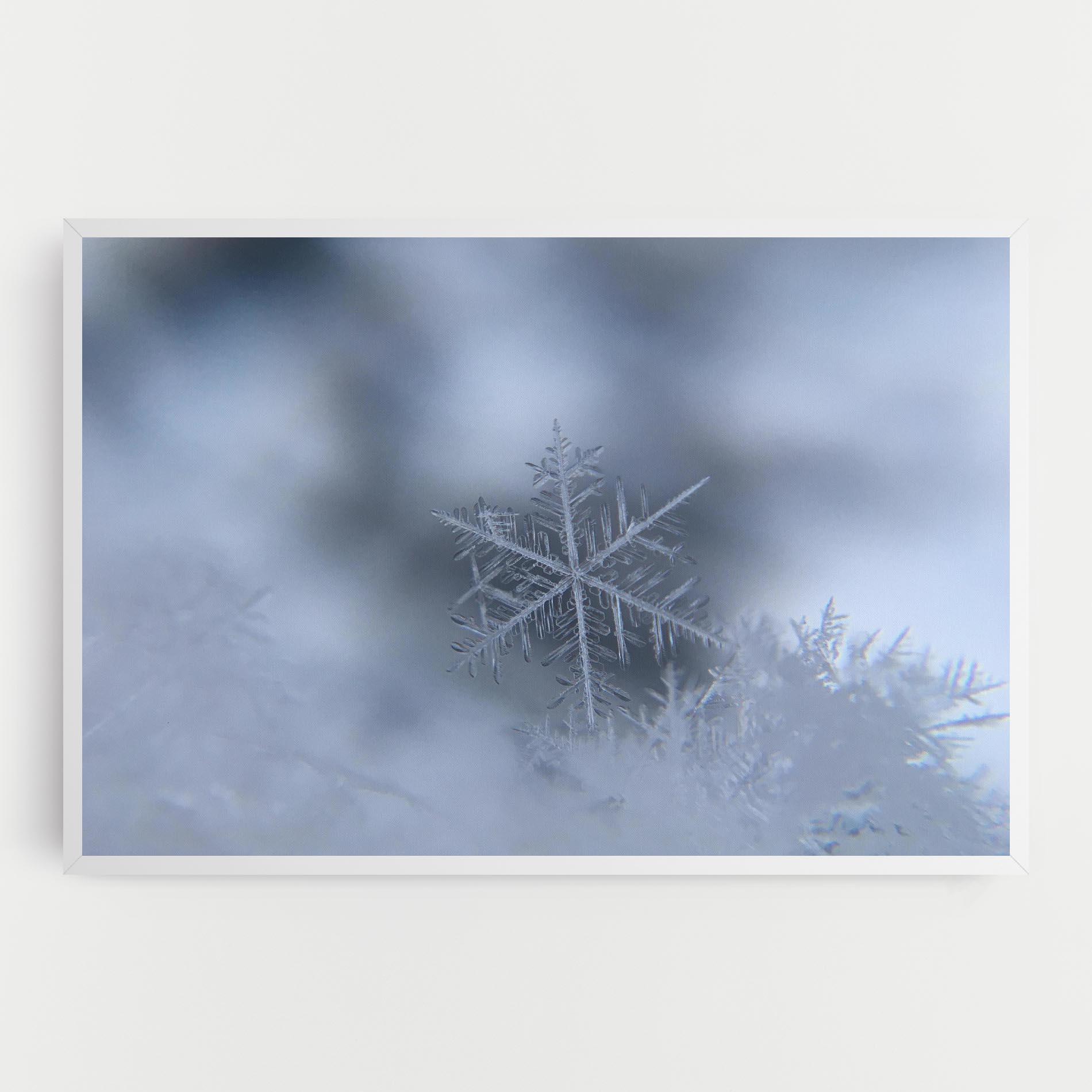 Картина на платно Pretty Snowflake mockup 0