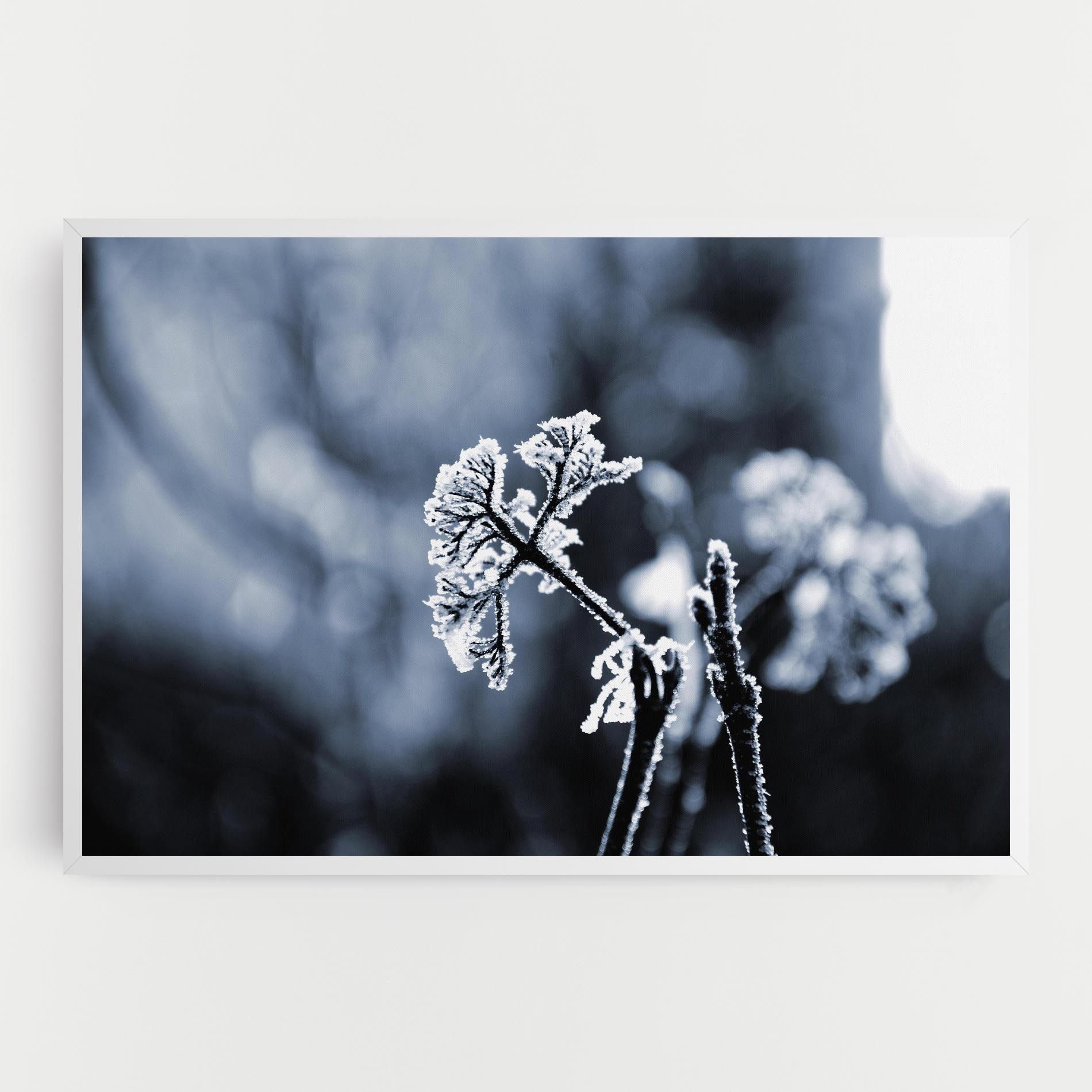 Winter Plant mockup 0