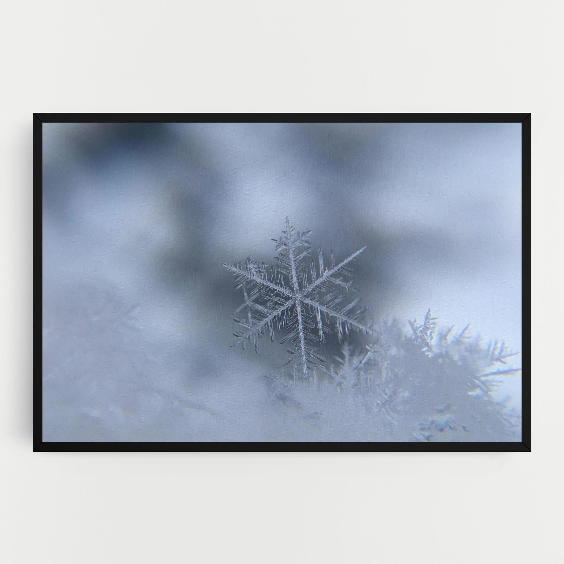Картина на платно Pretty Snowflake mockup 0