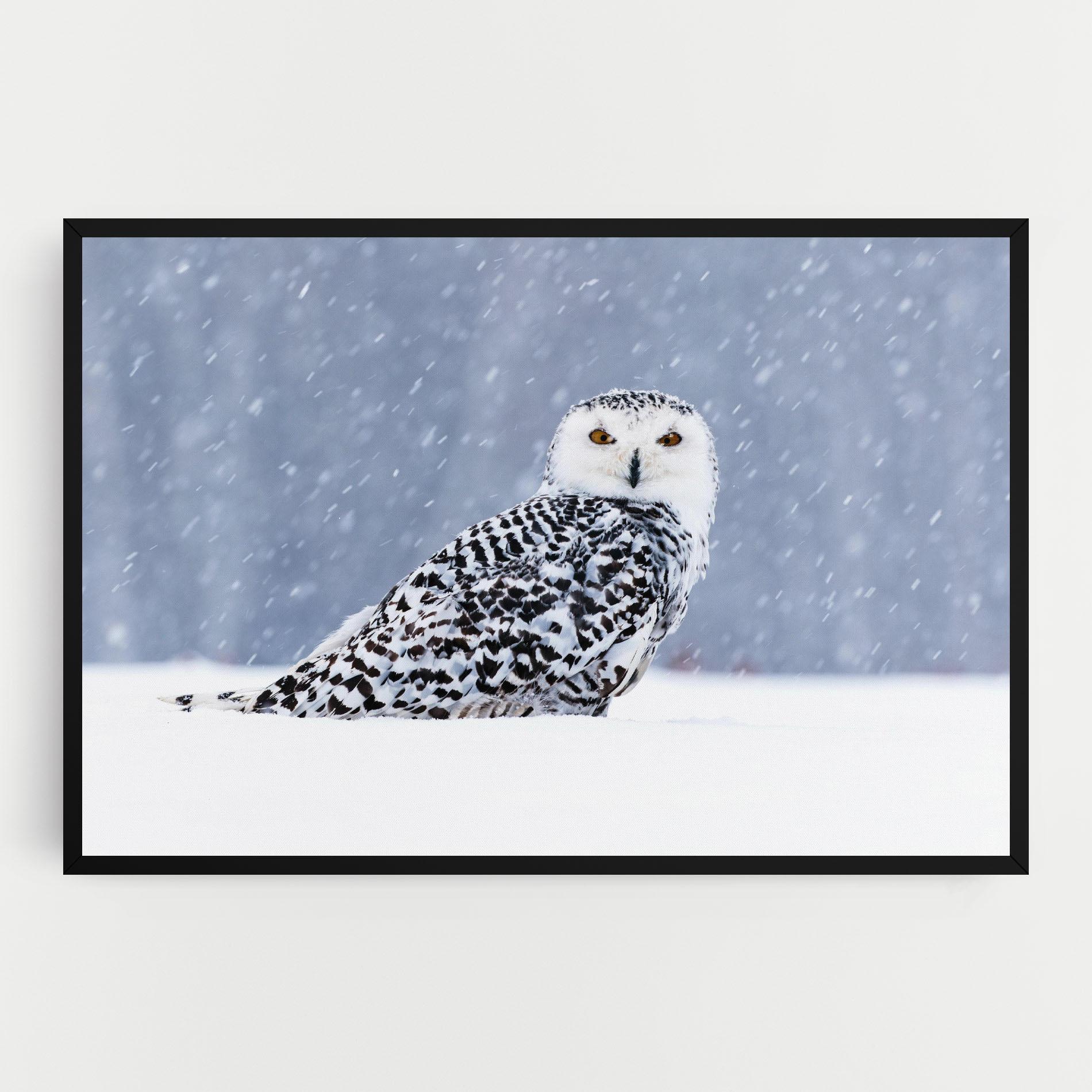 Картина на платно Snow Owl mockup 0