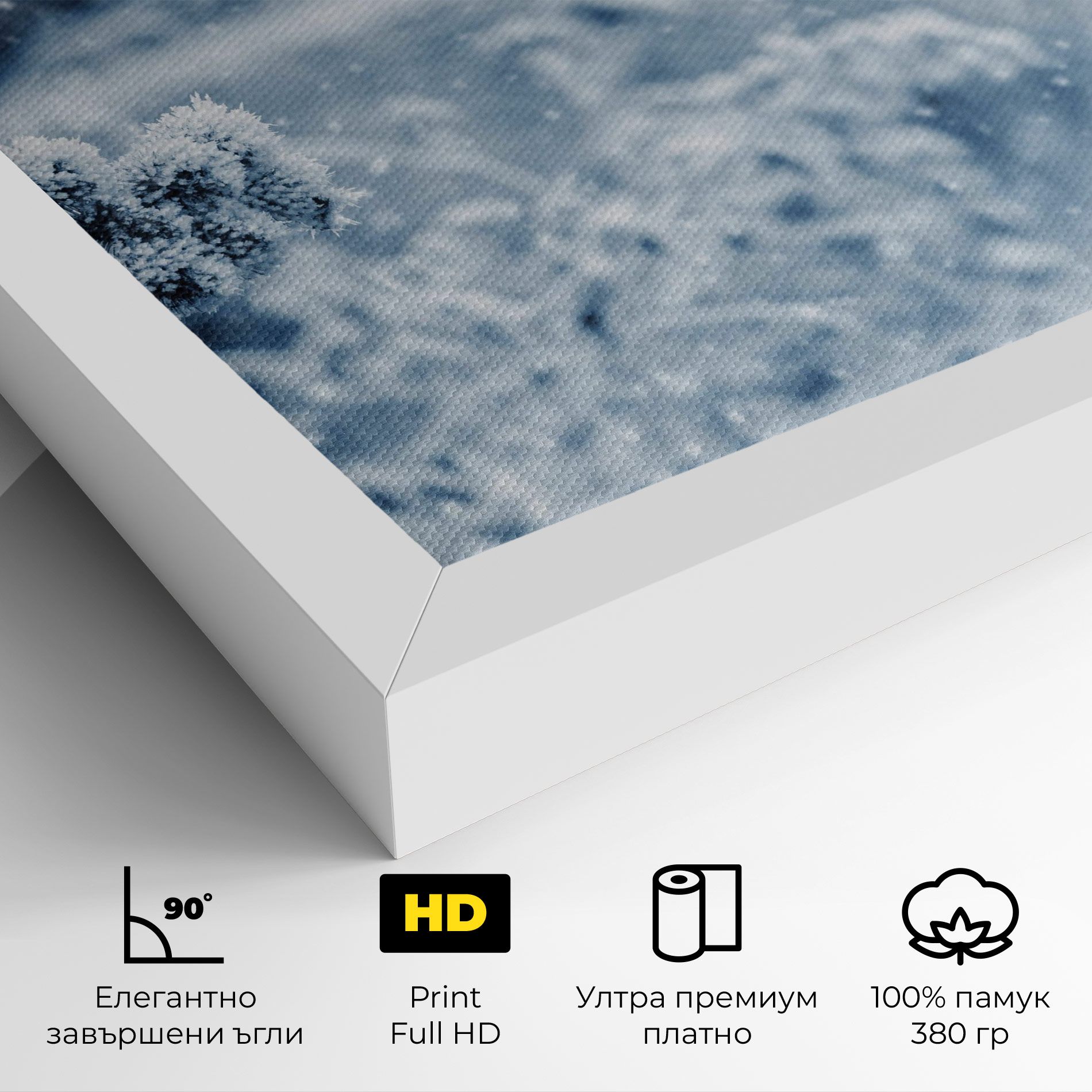 Pretty Winter Plants mockup 4