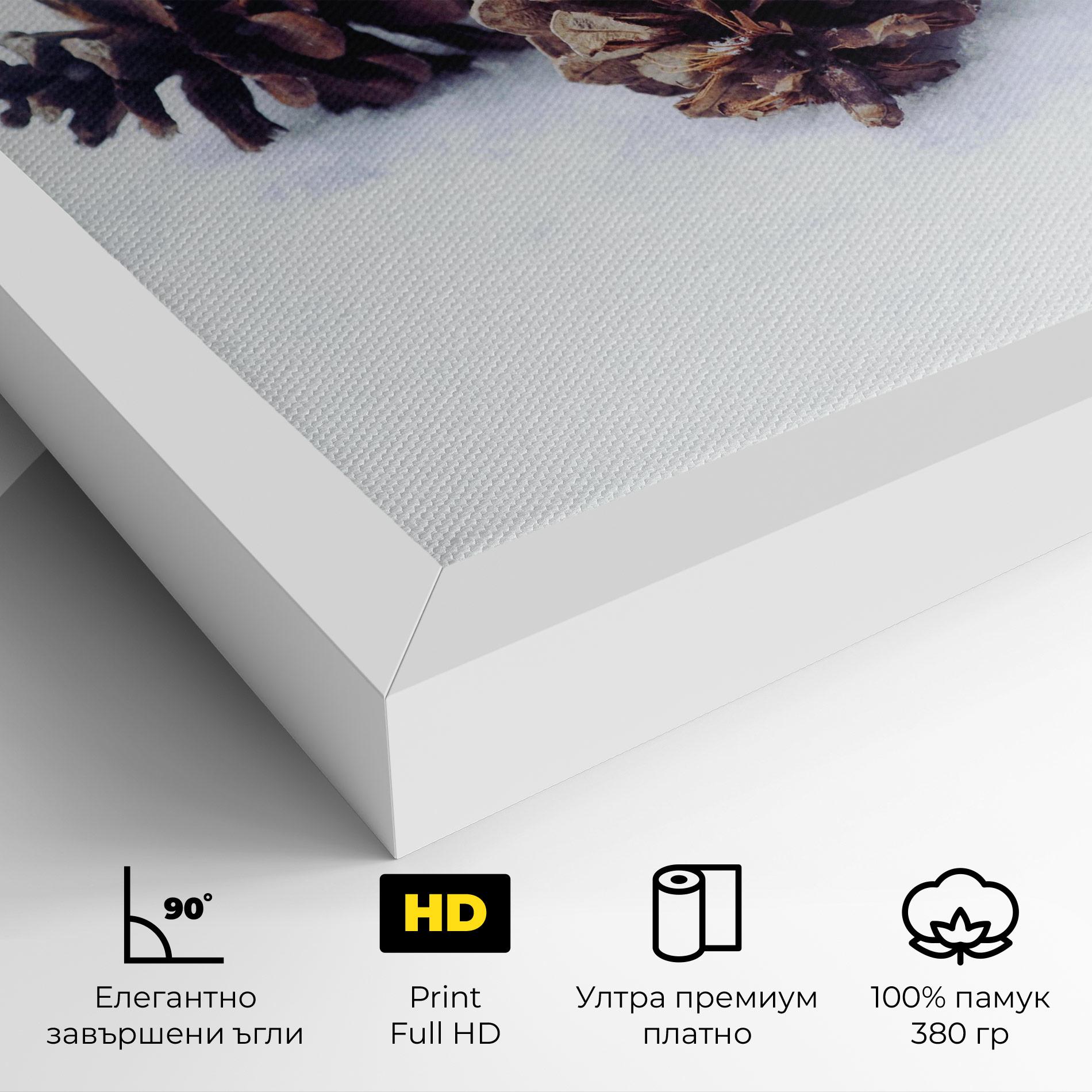 Картина на платно Snow Cones mockup 4