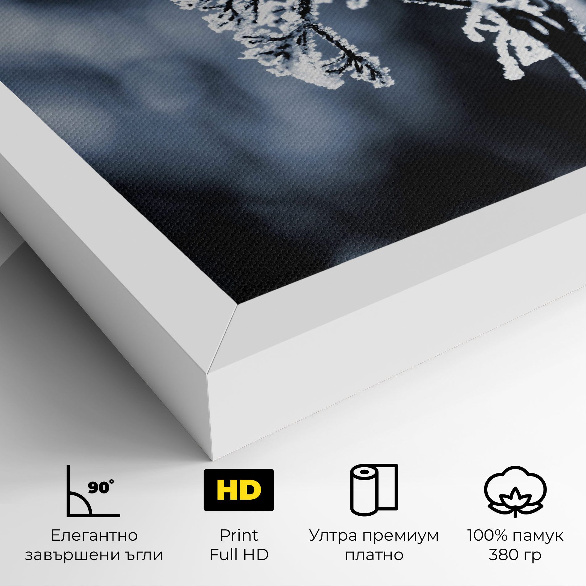 Winter Plant mockup 4