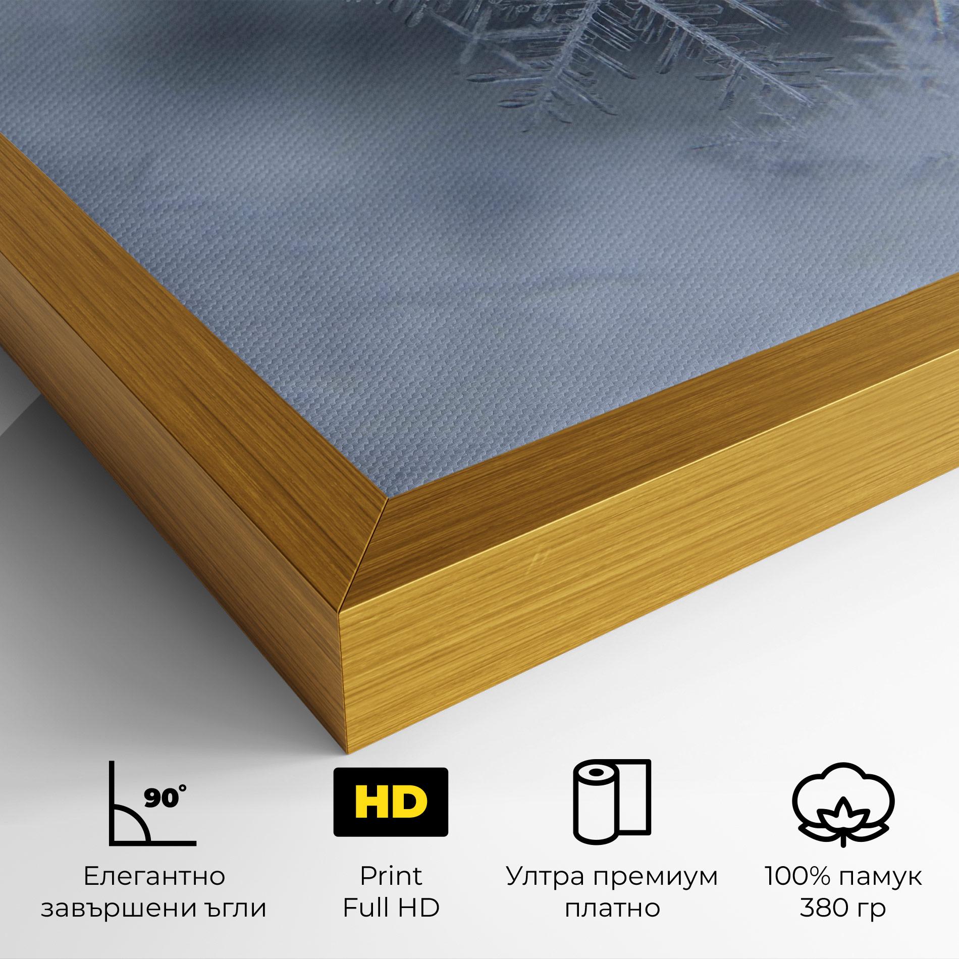 Картина на платно Pretty Snowflake mockup 4