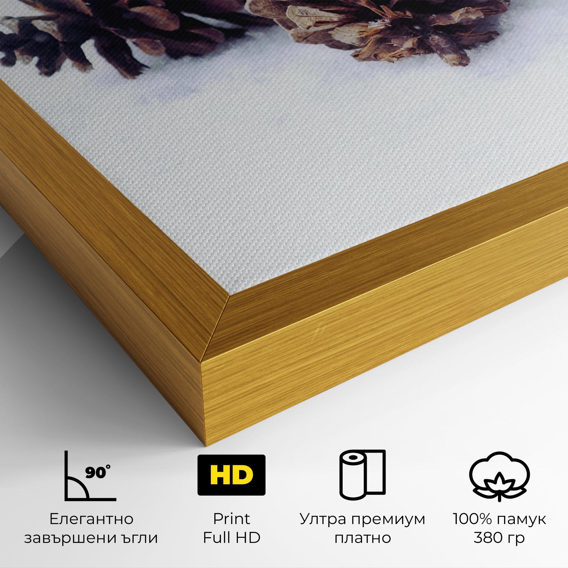 Картина на платно Snow Cones mockup 4