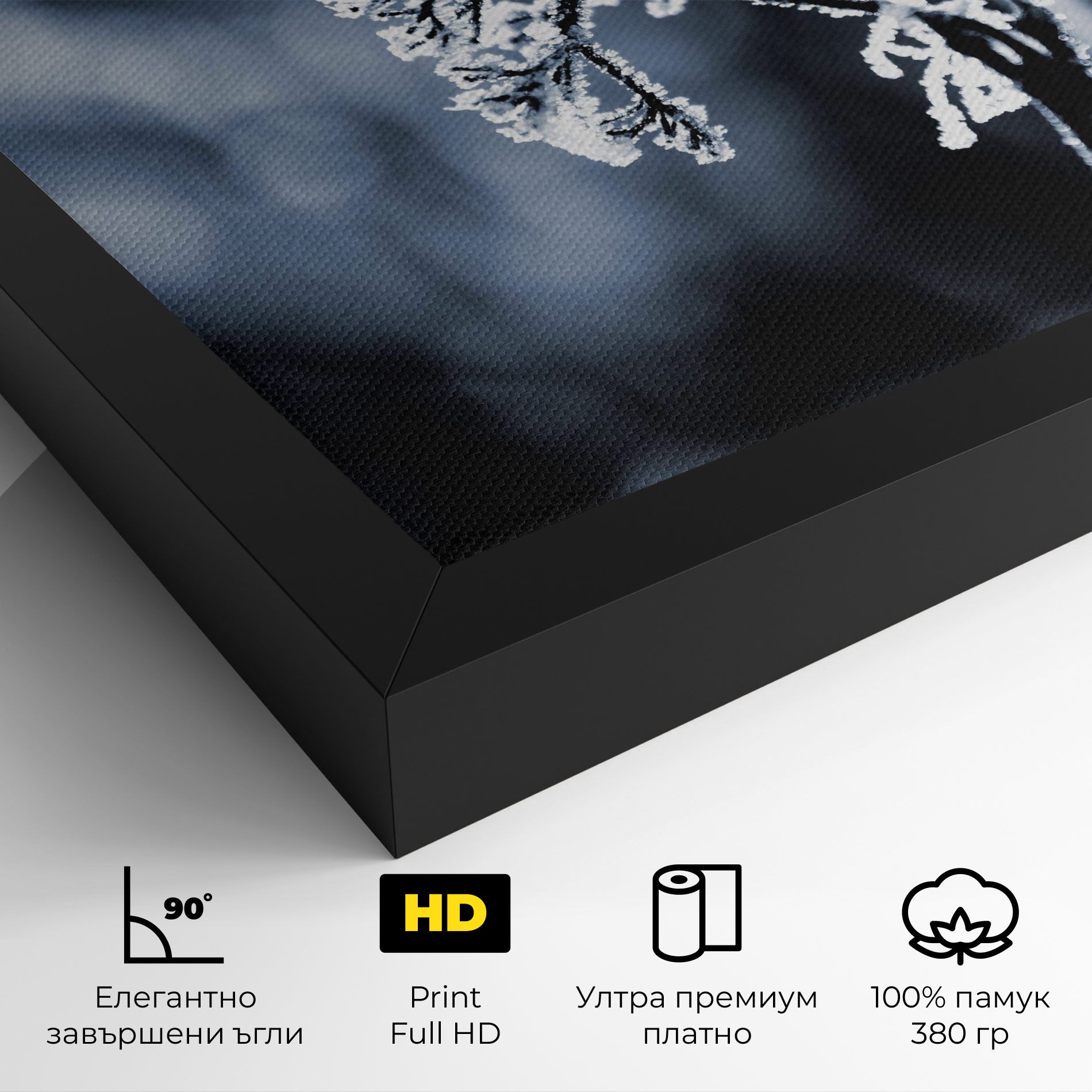 Winter Plant mockup 4