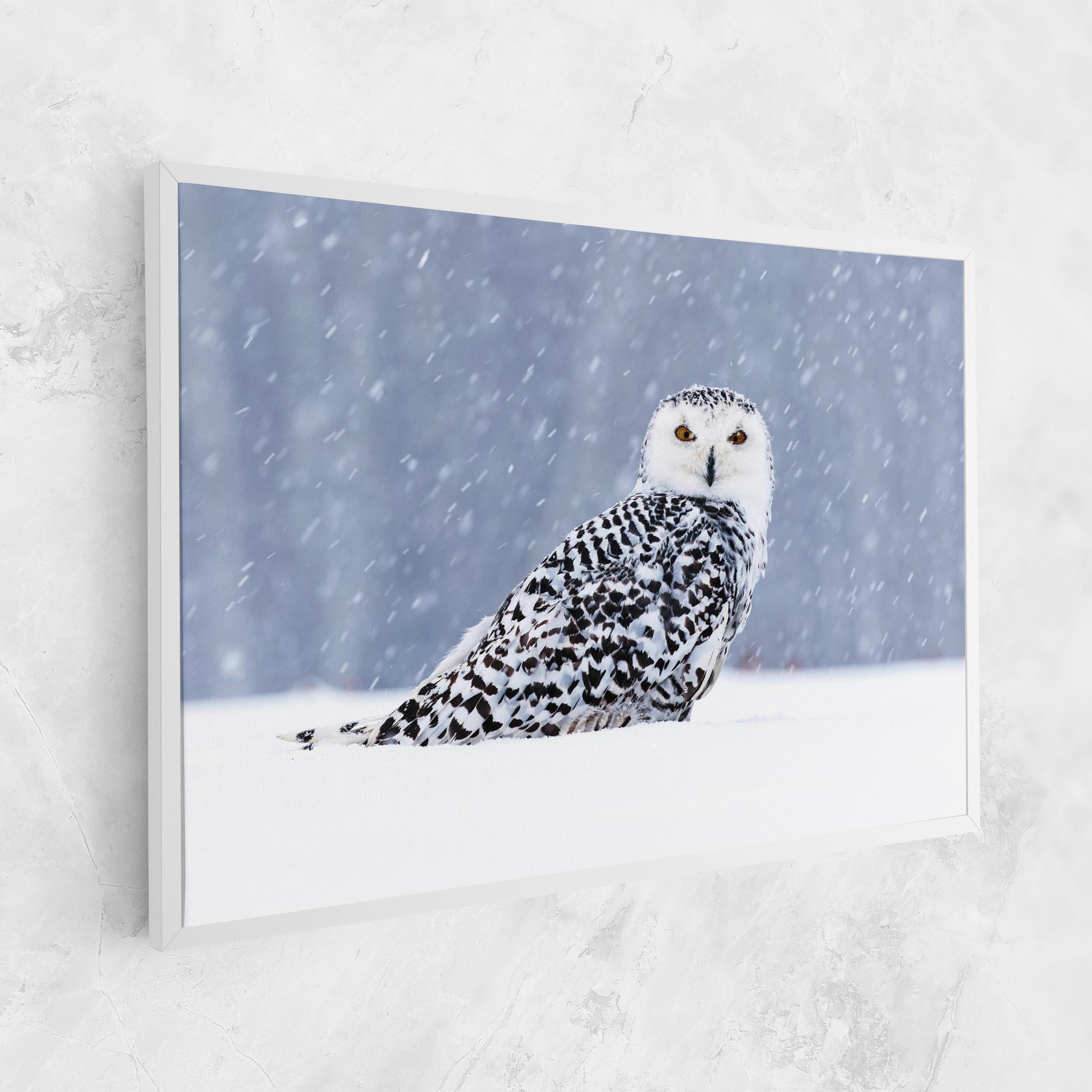 Картина на платно Snow Owl mockup 1