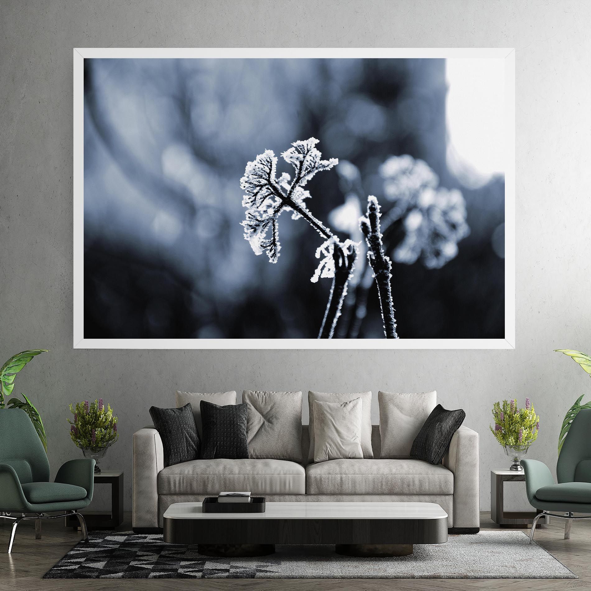 Winter Plant mockup 7