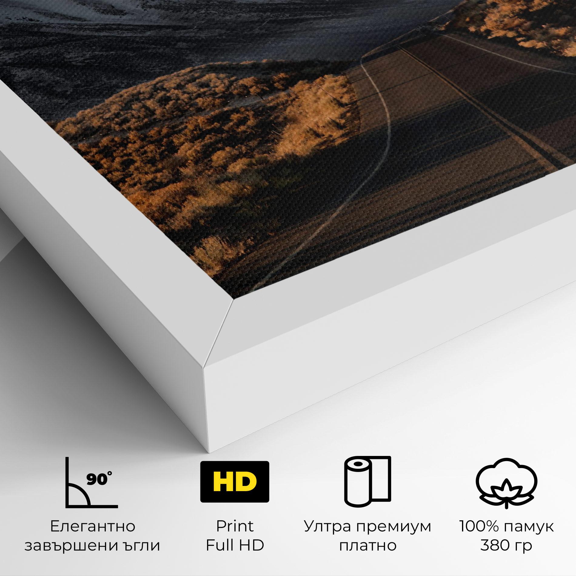 Картина на платно Nice Mountain Road mockup 4