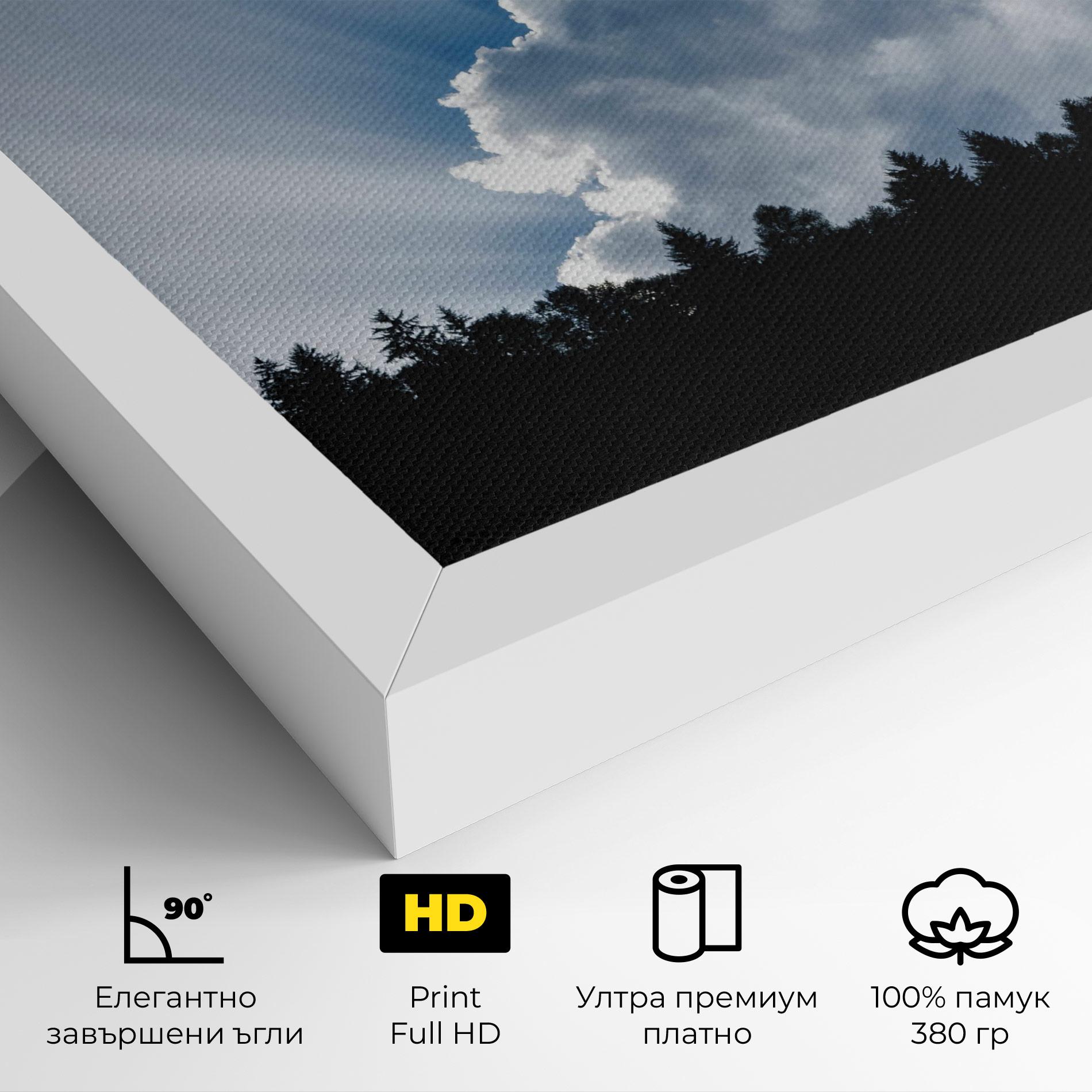 Картина на платно Big White Cloud Light mockup 4