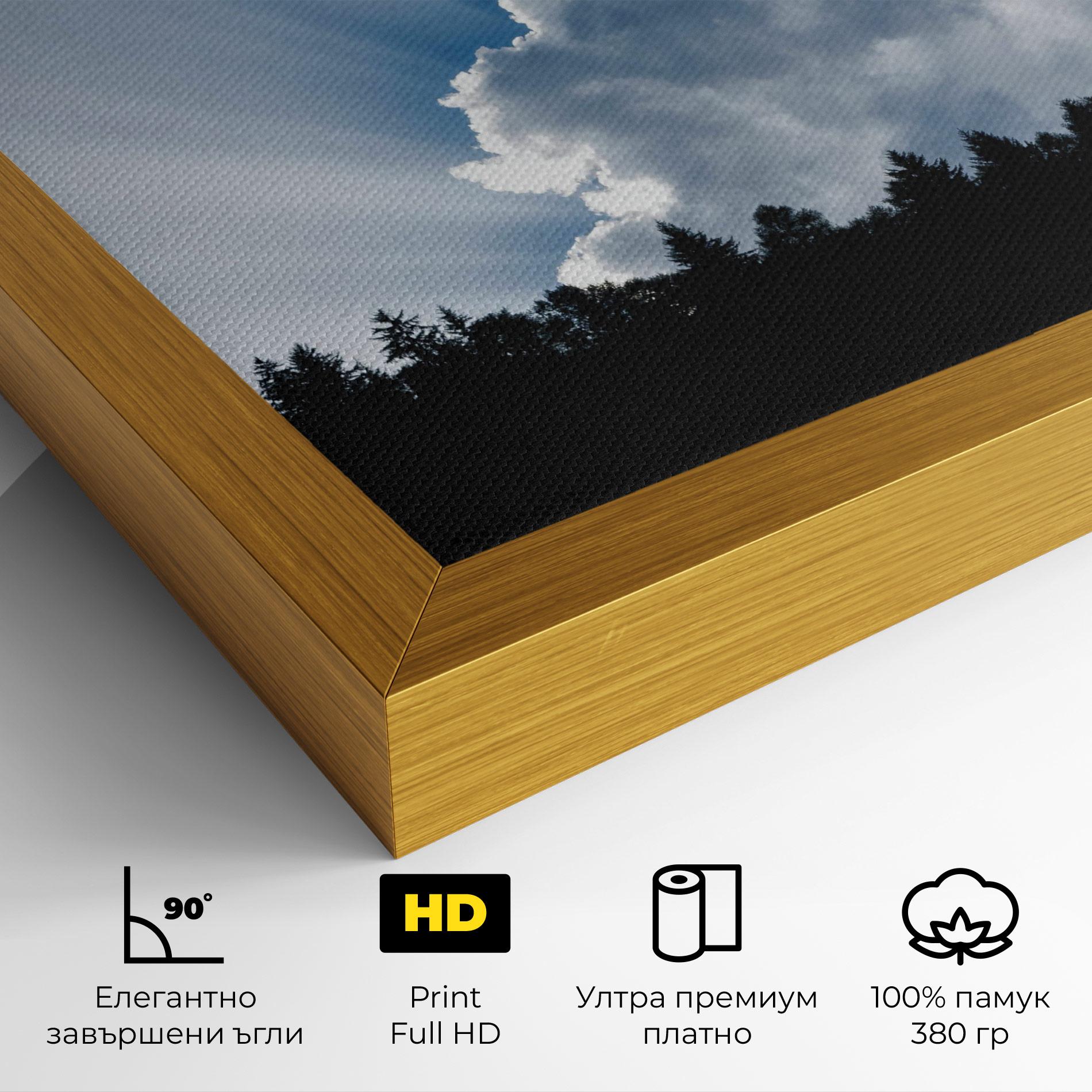 Картина на платно Big White Cloud Light mockup 4