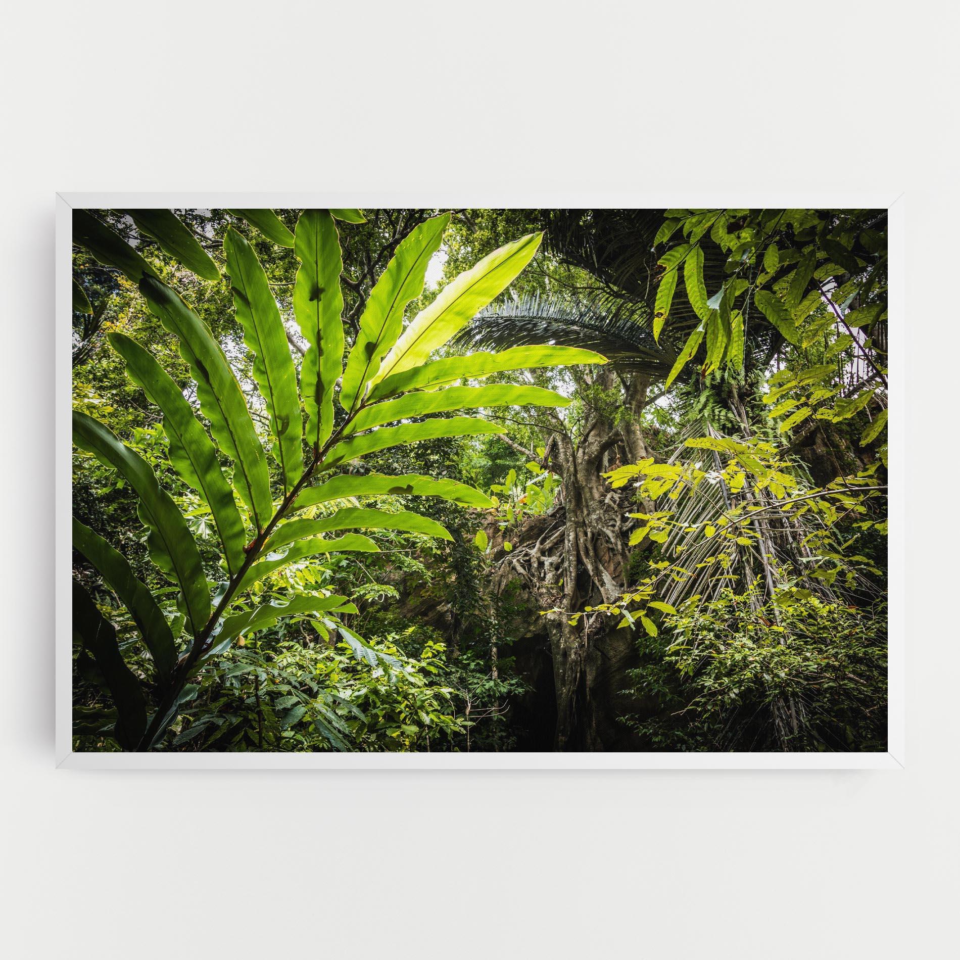 Картина на платно Big Leaf Forest mockup 0