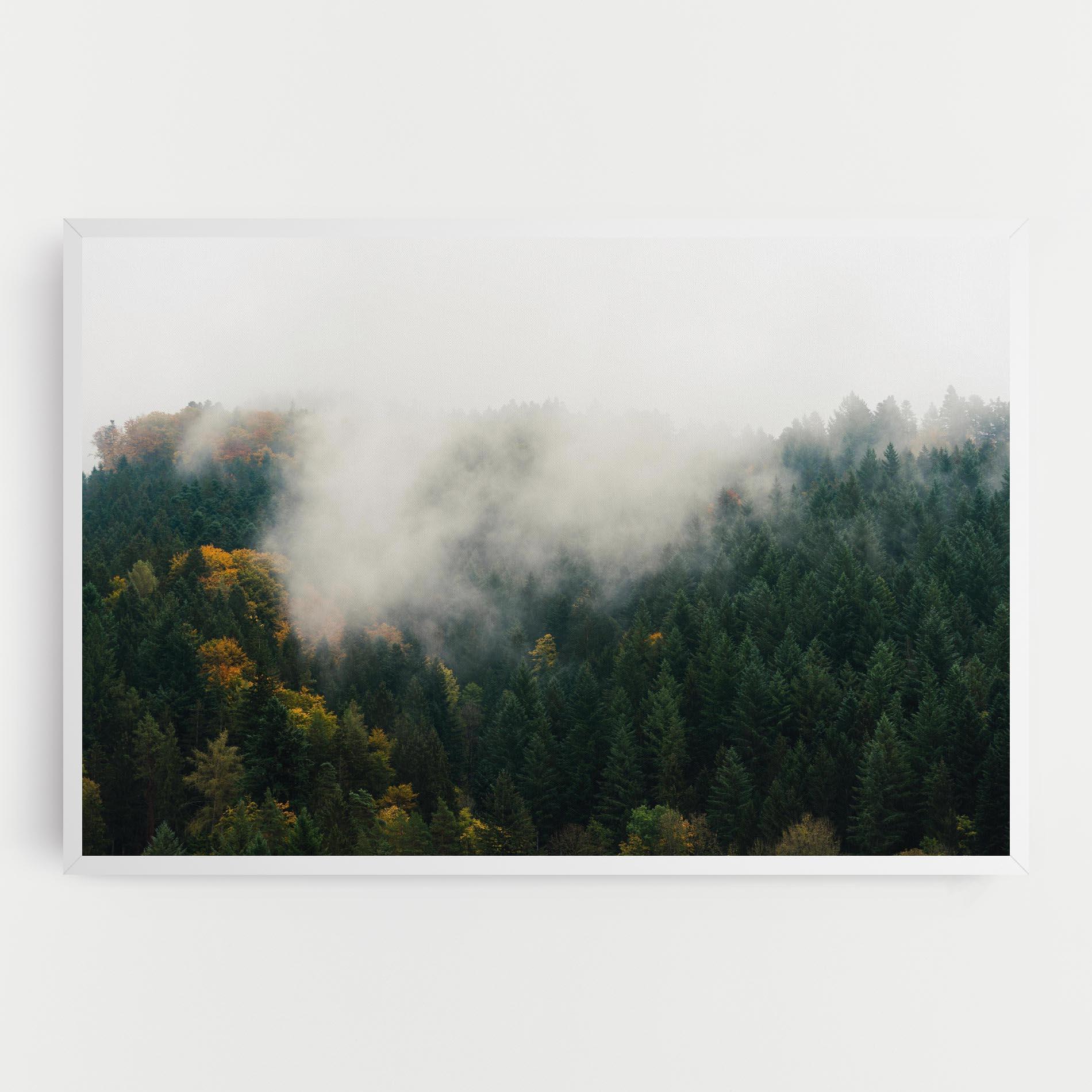 Картина на платно Foggy Tree Forest mockup 0
