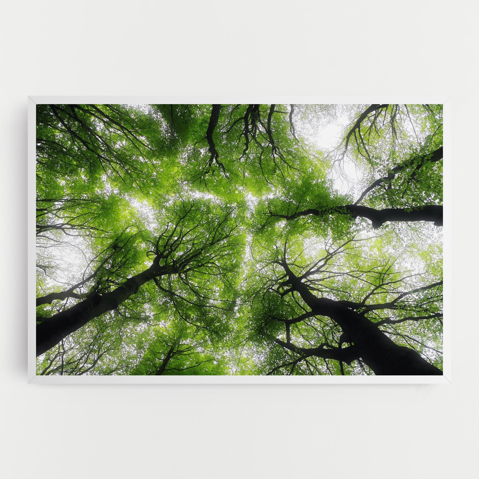 Картина на платно Forest Green Tree mockup 0