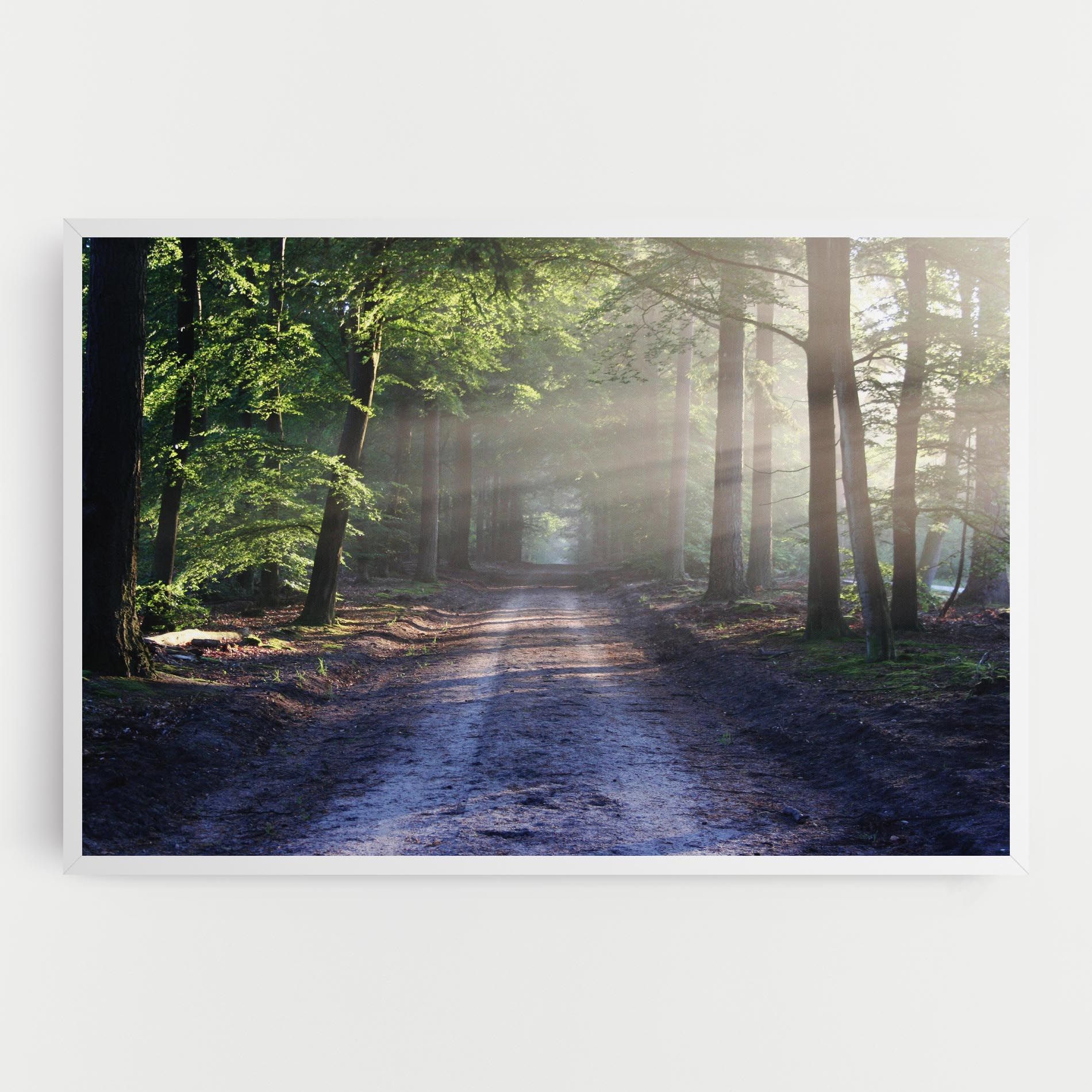 Forest Road mockup 0