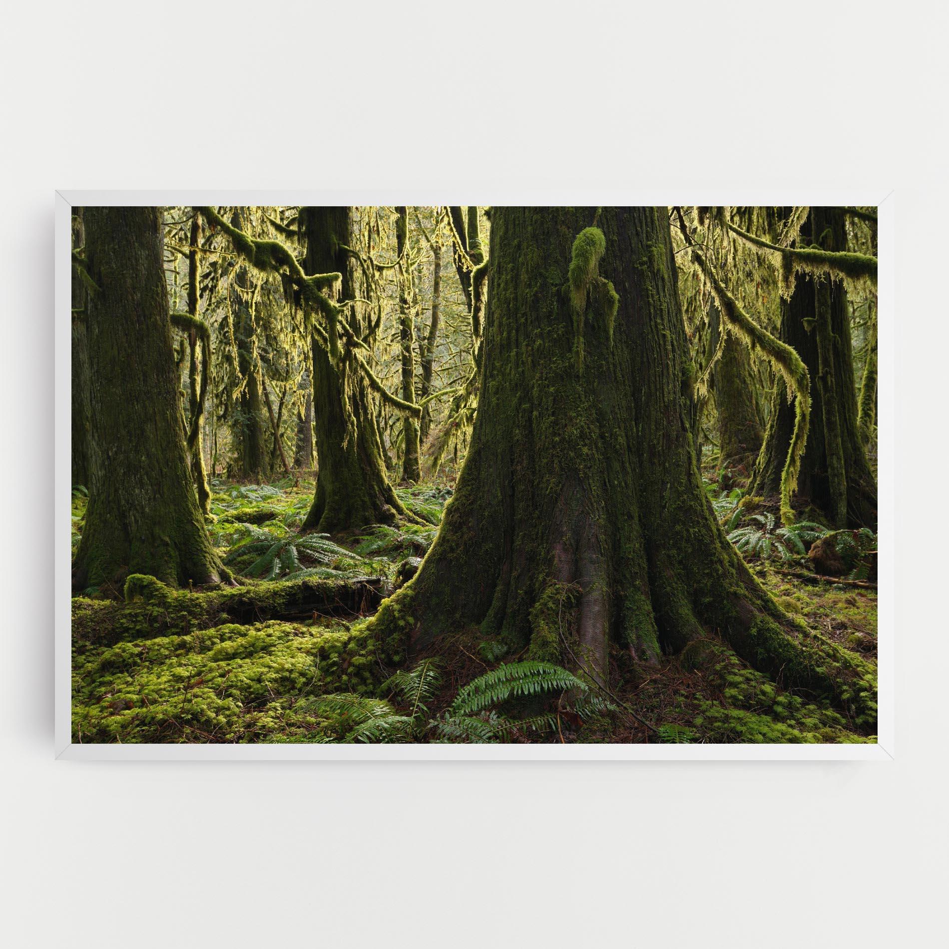 Картина на платно Green Moss Forest mockup 0