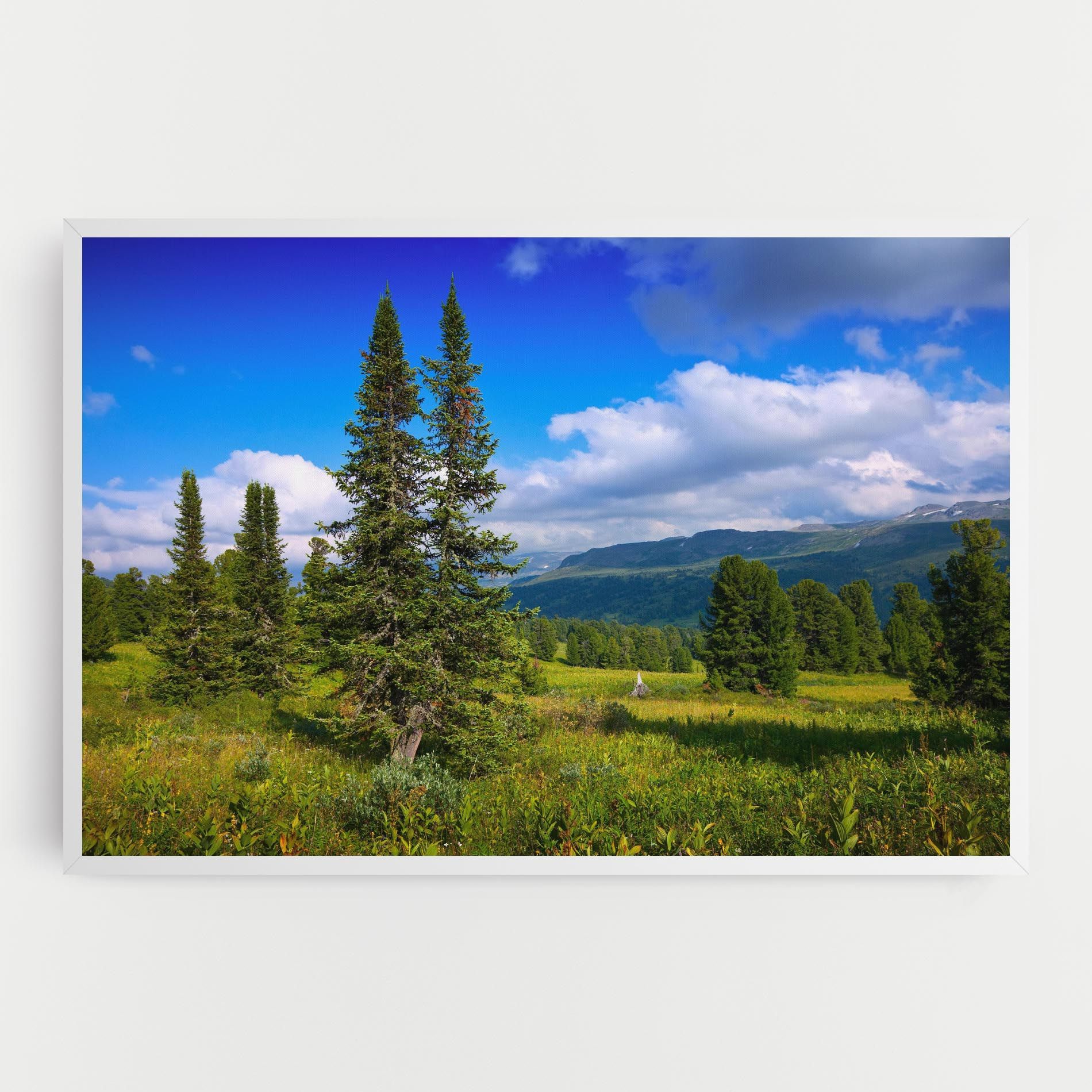 Morning Sunny Field mockup 0