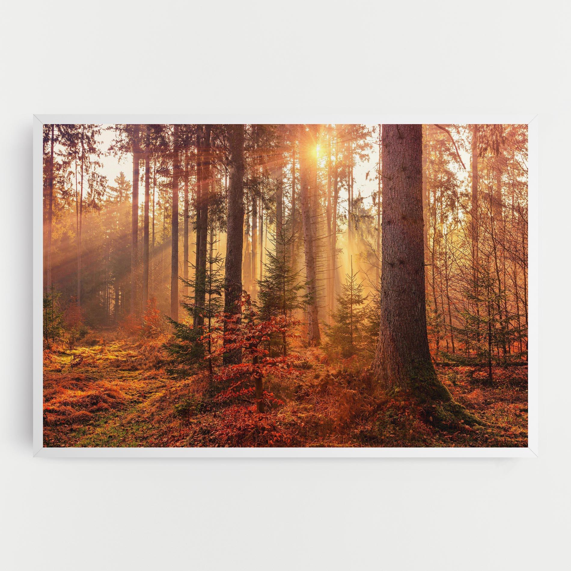 Картина на платно Orange Light Forest mockup 0