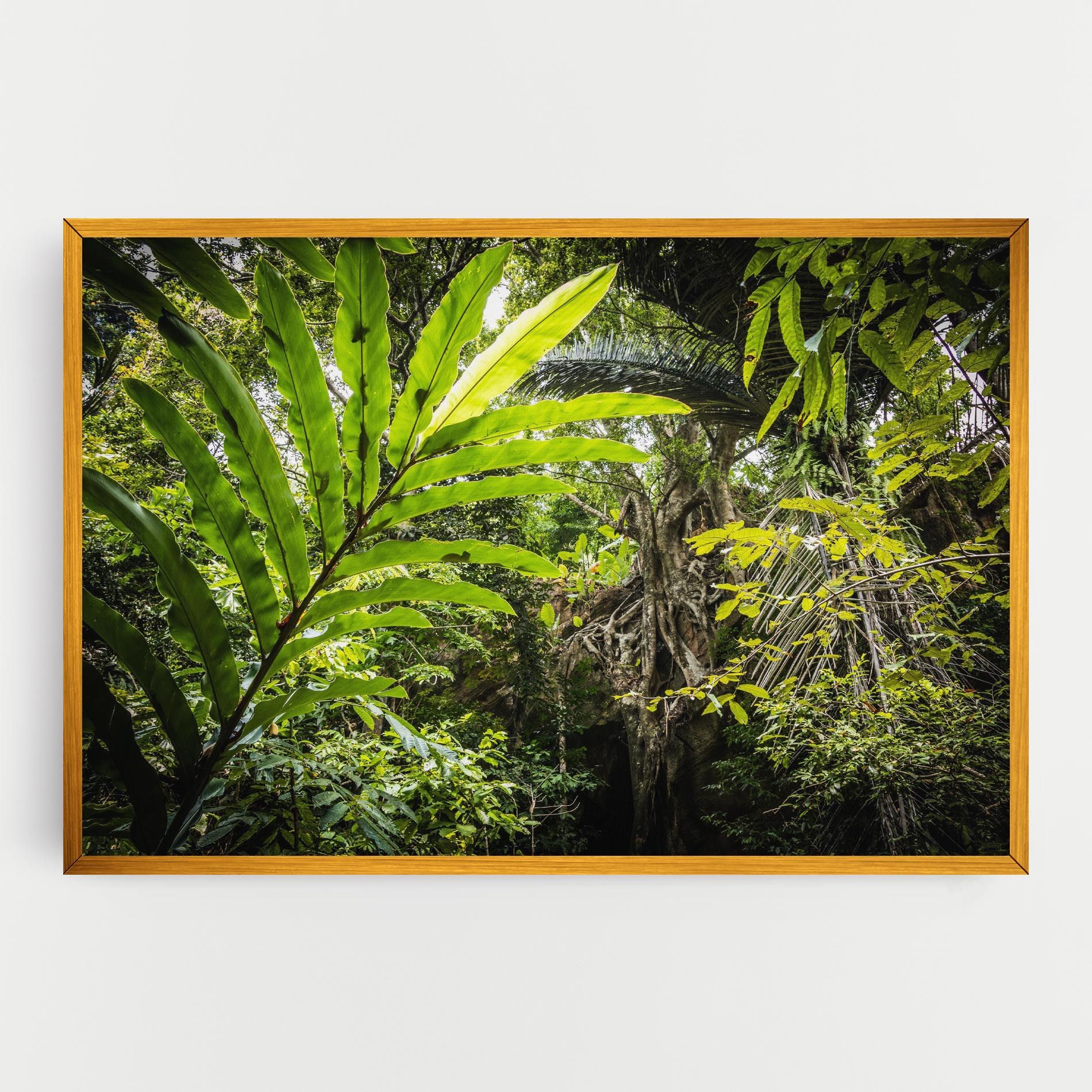 Big Leaf Forest mockup 0