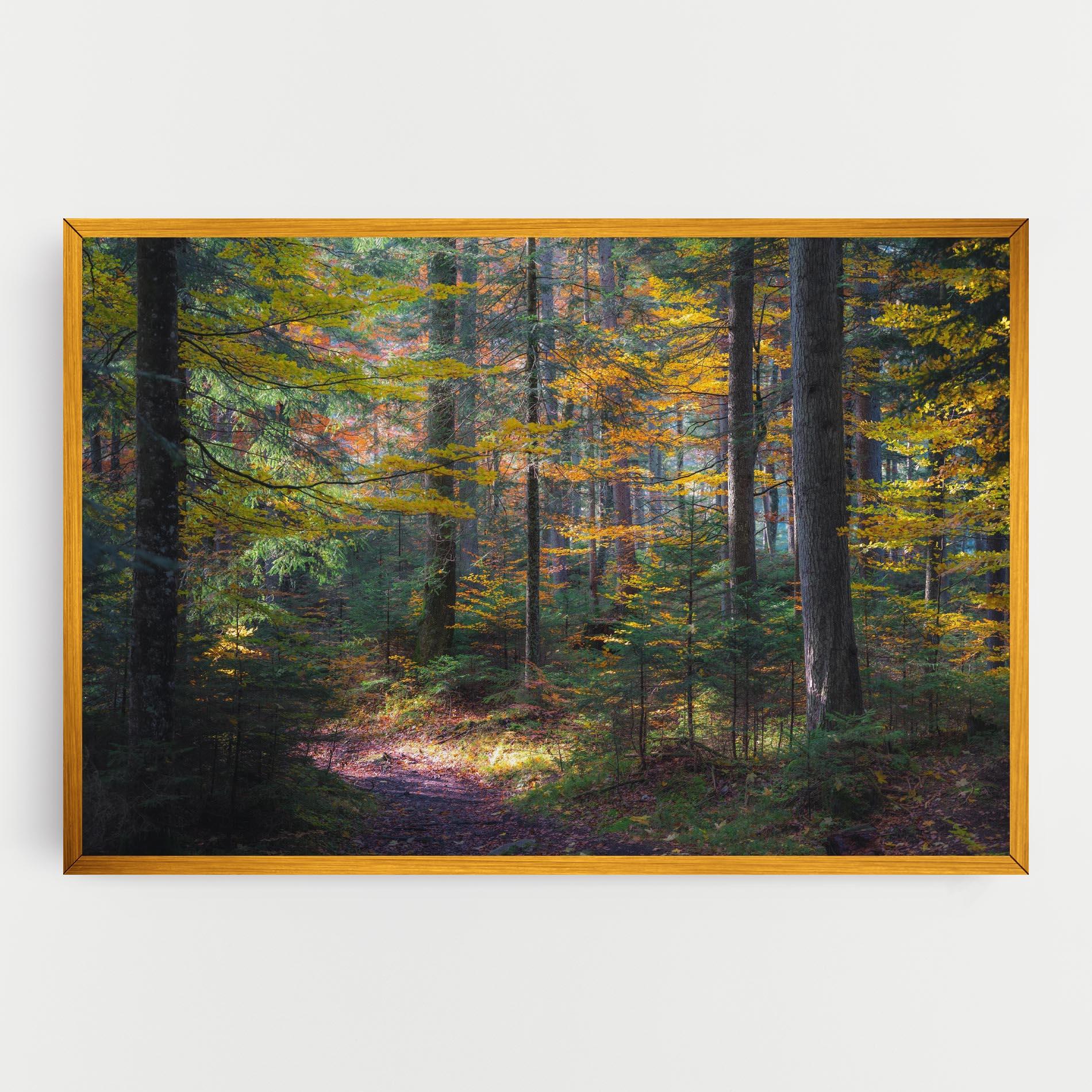 Картина на платно Dreamy Path Dorest mockup 0