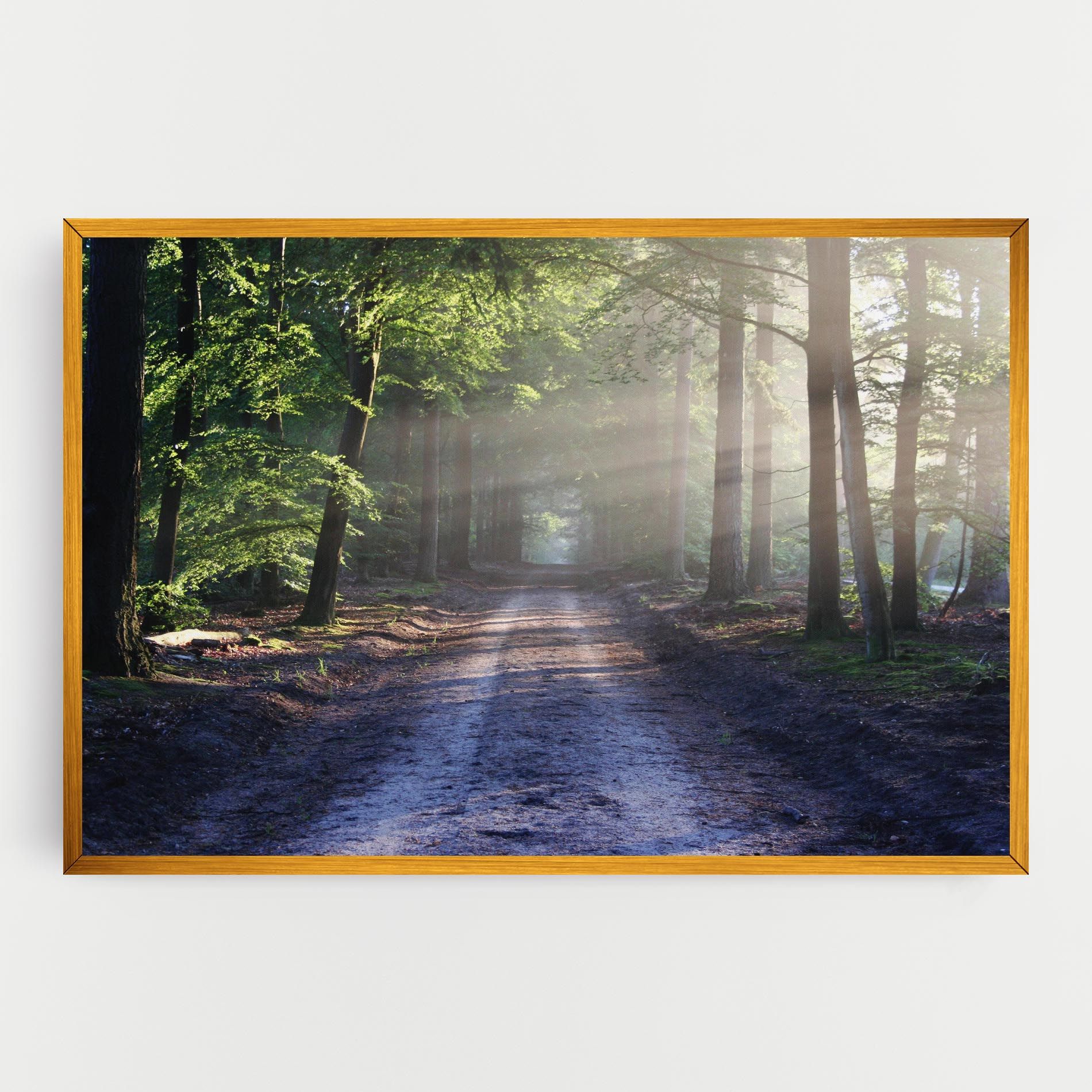 Forest Road mockup 0