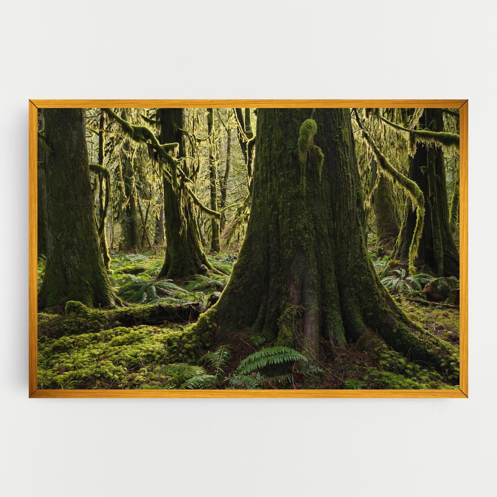 Green Moss Forest mockup 0