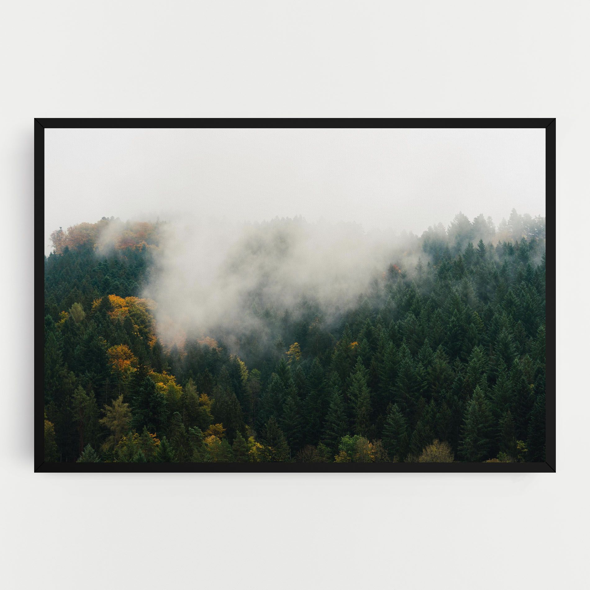 Foggy Tree Forest mockup 0