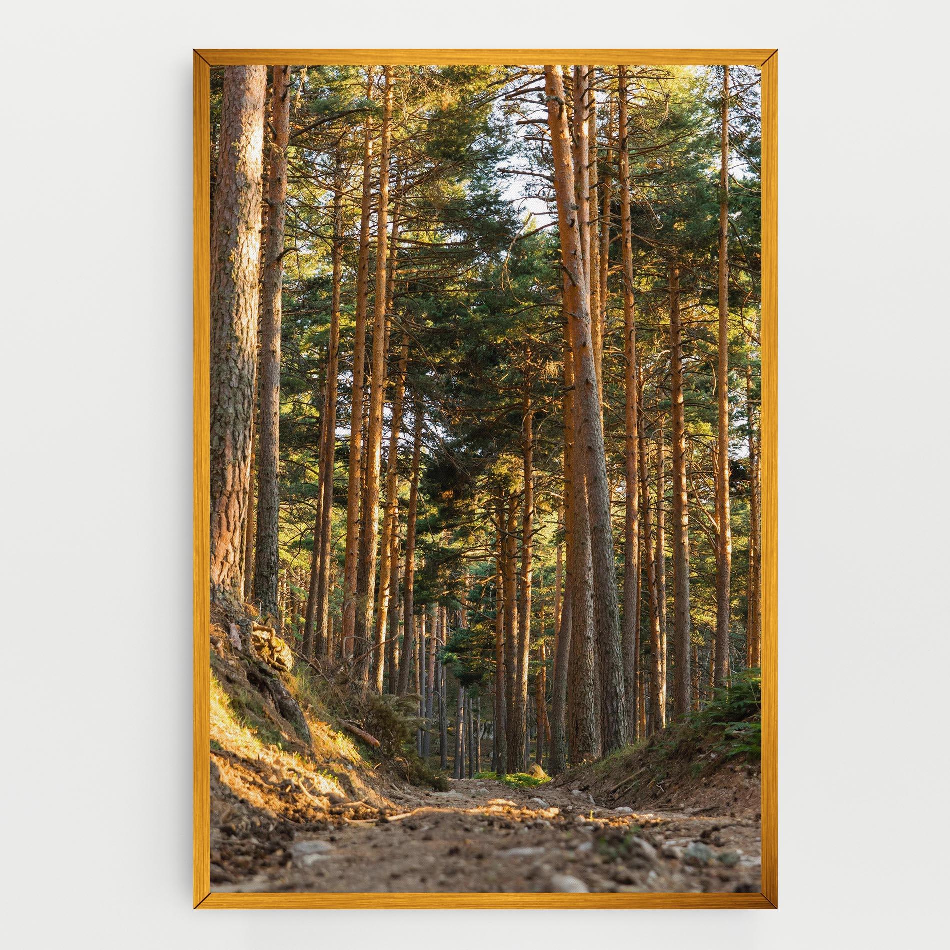 Картина на платно Big Trees Forest mockup 0