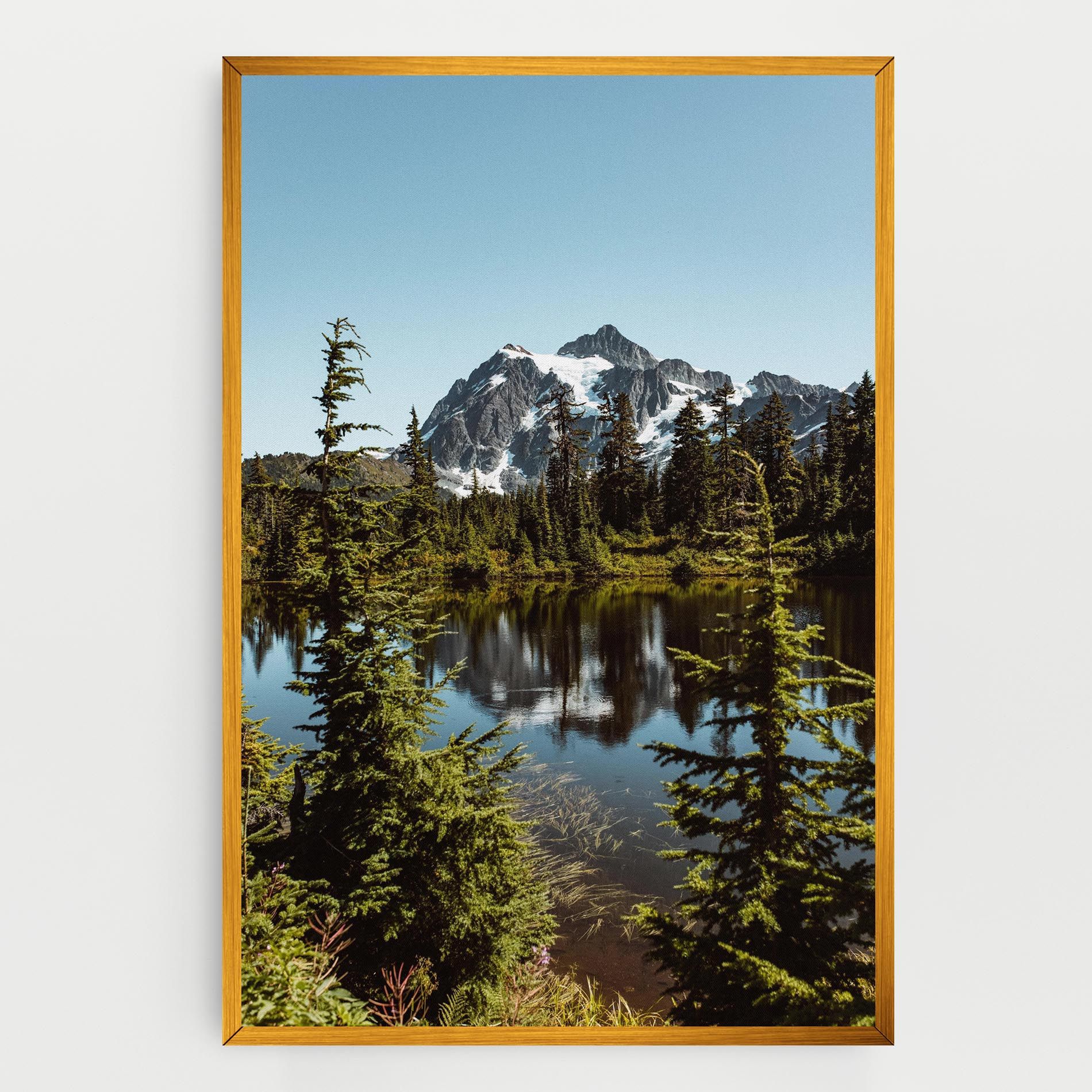 Forest Snow Mountain mockup 0