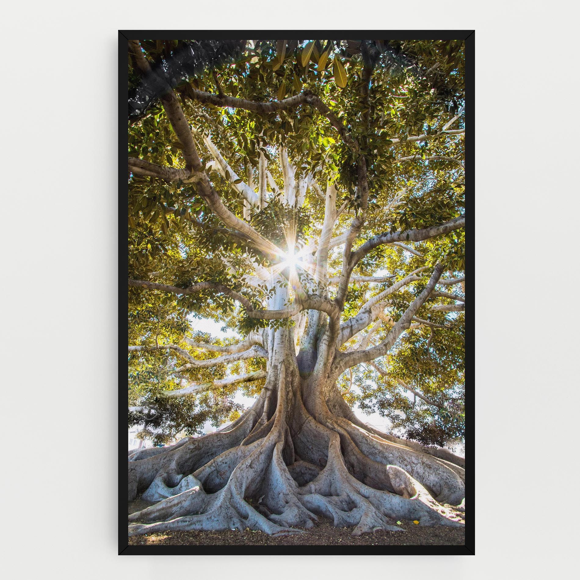 Big Old Tree mockup 0
