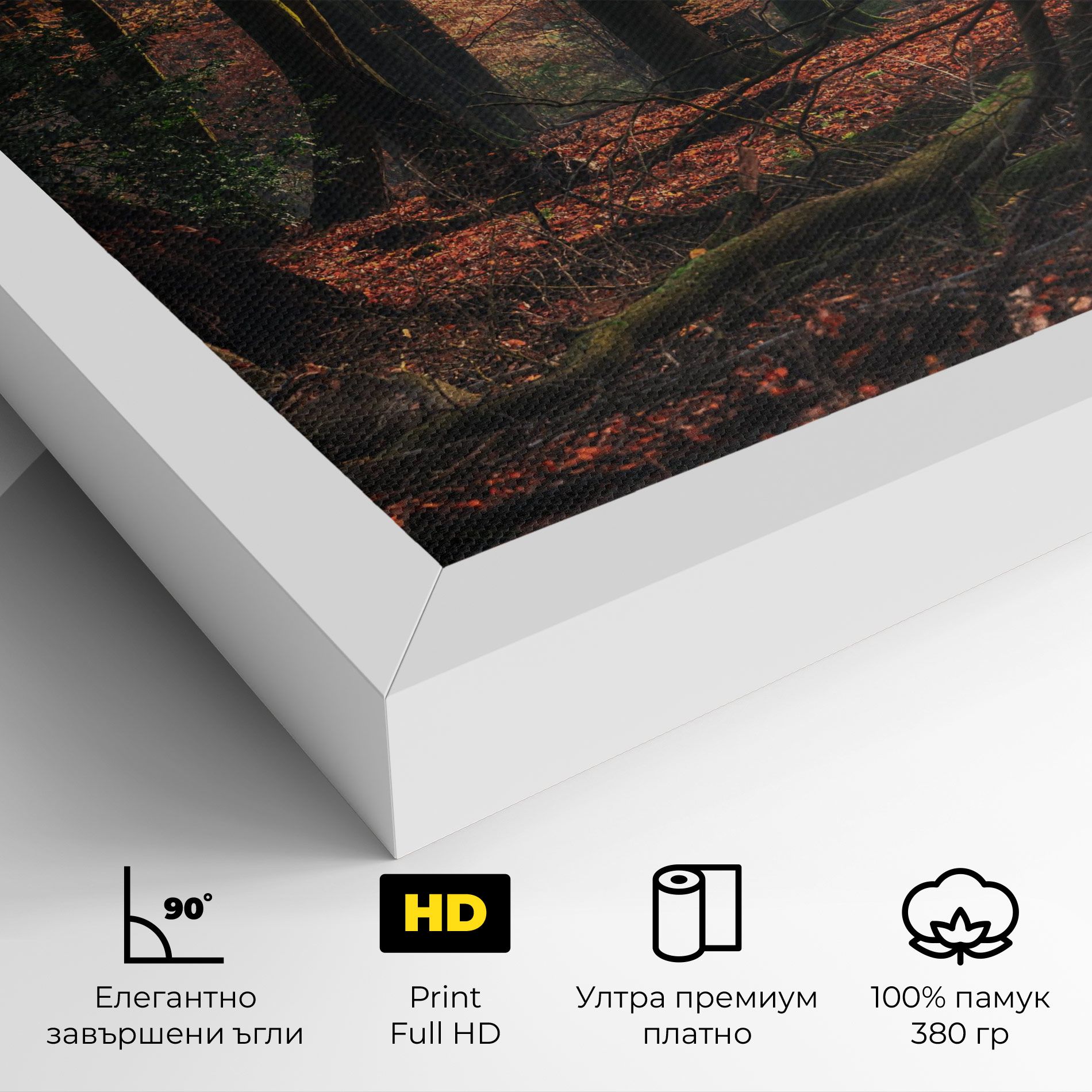 Autumn Forest Trees mockup 4