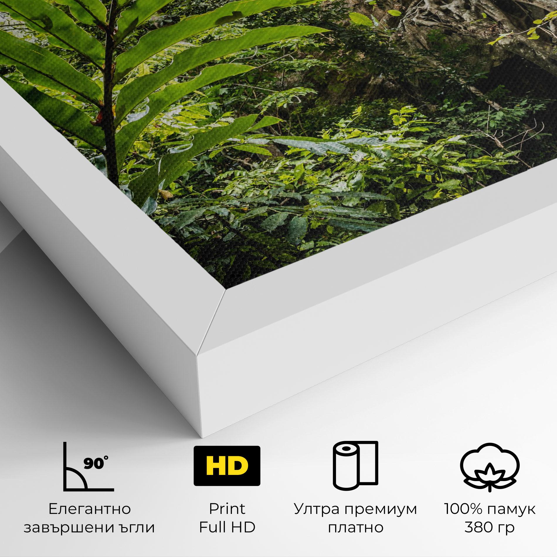 Картина на платно Big Leaf Forest mockup 4