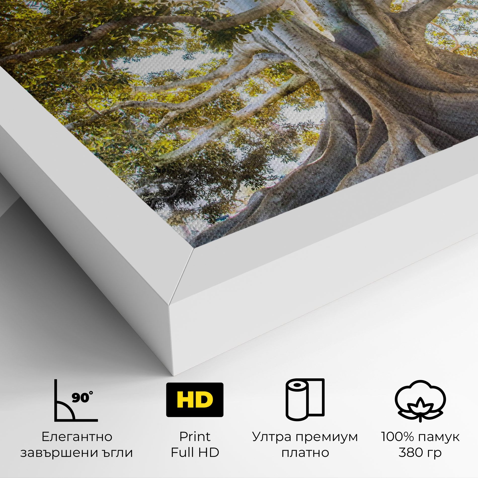 Big Old Tree mockup 4