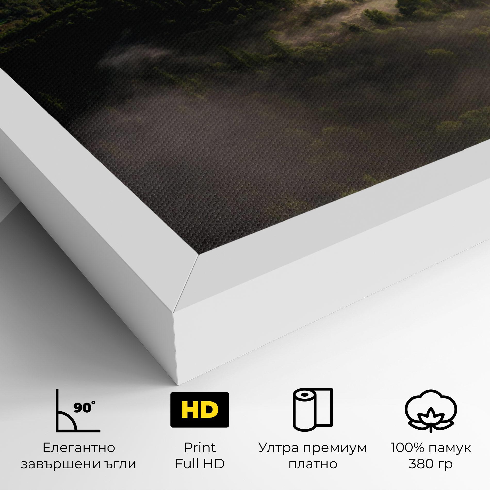 Картина на платно Foggy Forest View mockup 4